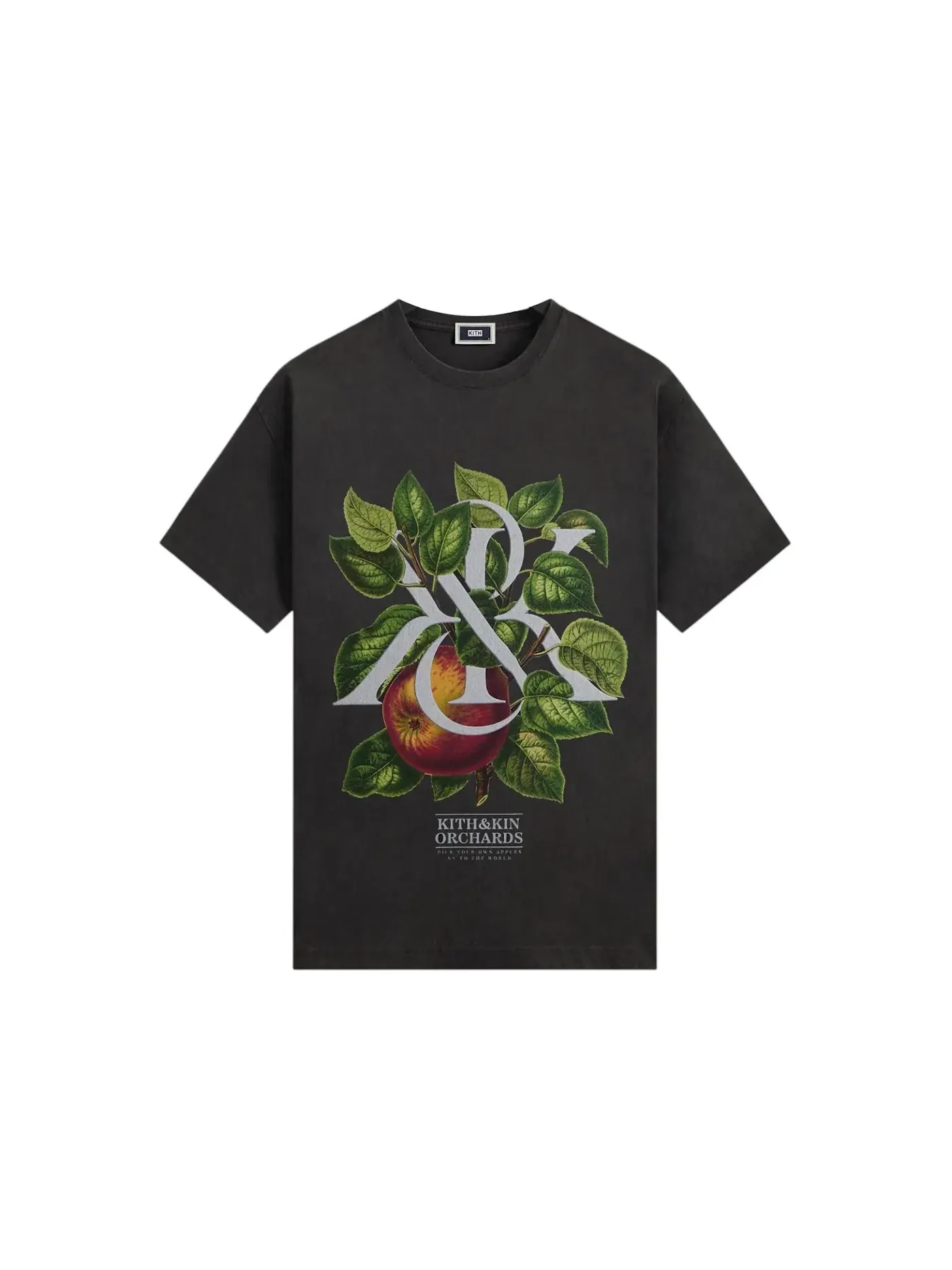 Мужская футболка с принтом Kith & Kin Orchards Vintage Tee Kith — изображение 1 из 2, черный