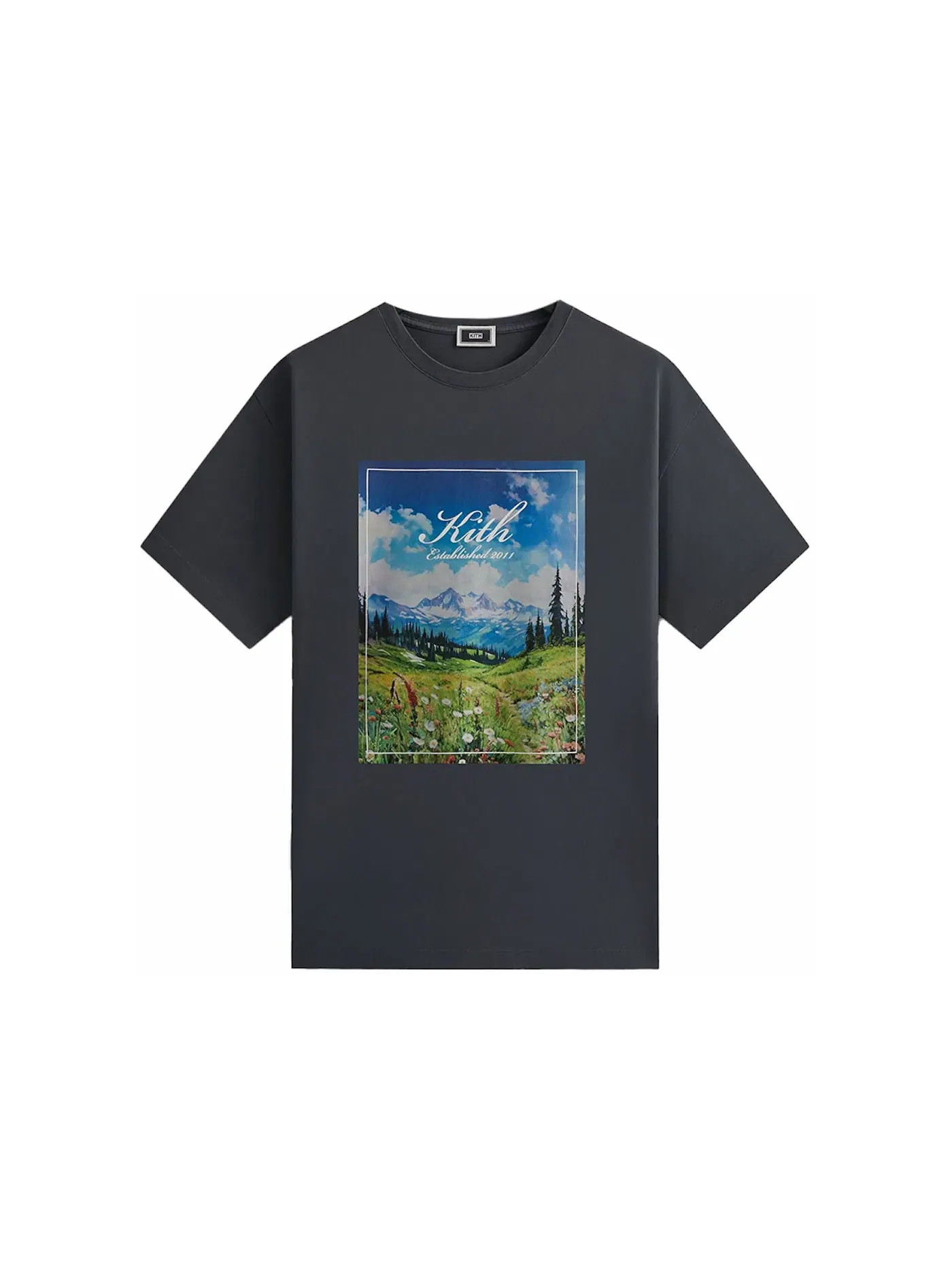 Мужская футболка с принтом Kith Landscape Vintage Tee Torpedo, Torpedo — изображение 1 из 2