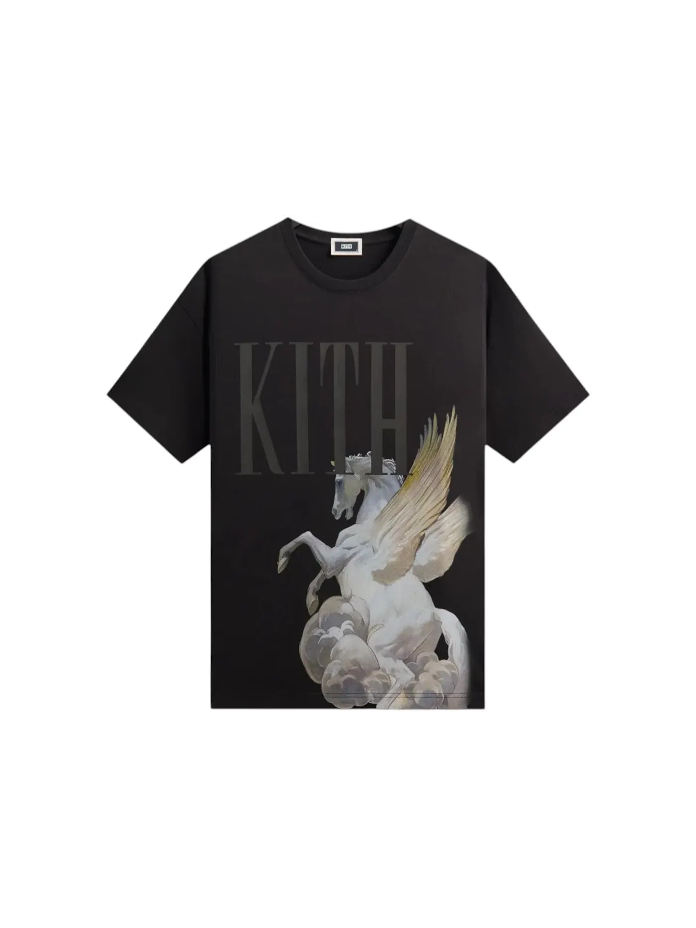 Мужская футболка с принтом Kith Pegasus Vintage Tee — изображение 1 из 2, черный