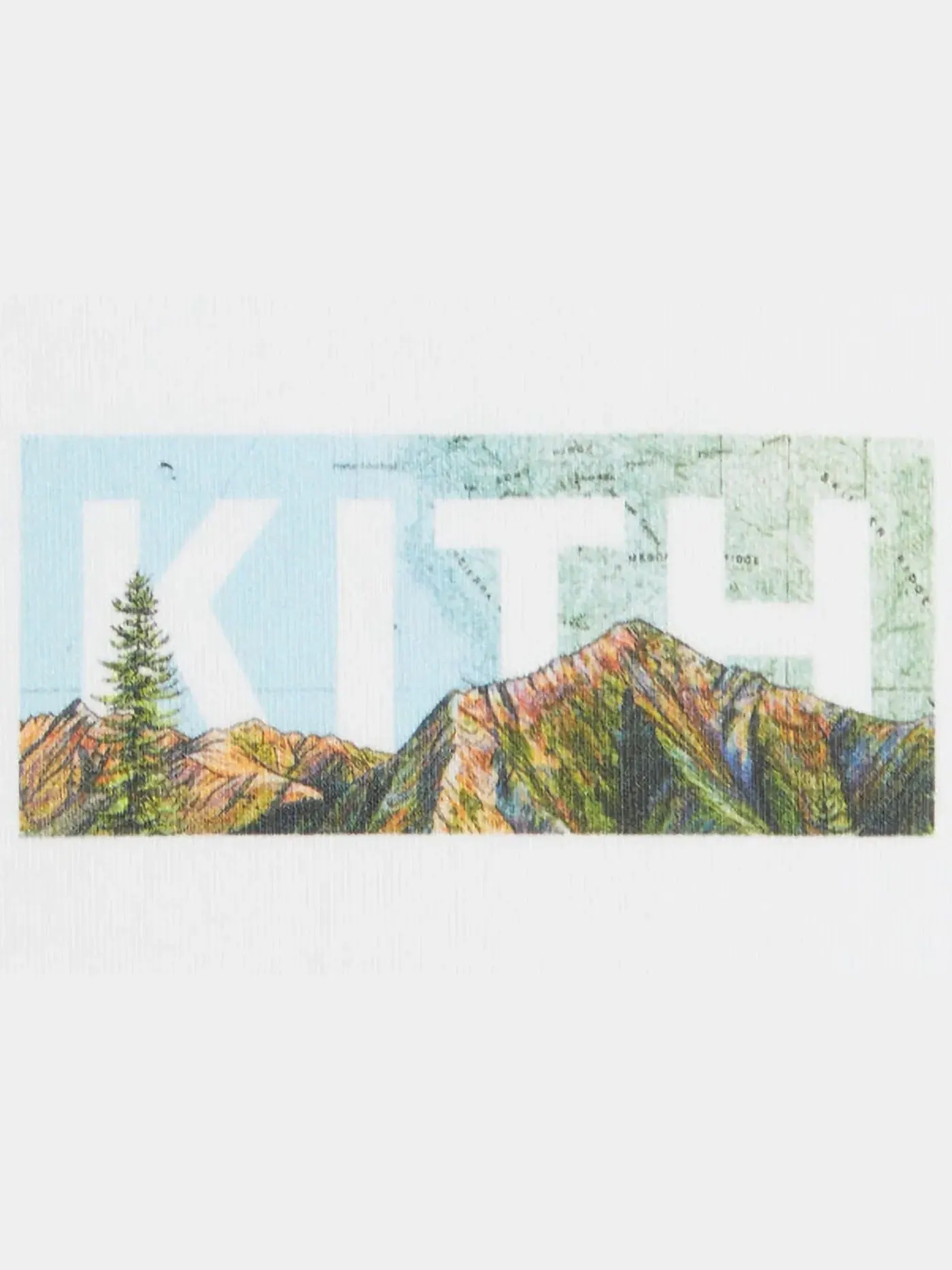 Мужская футболка с принтом Kith x Columbia Big Sur Classic Logo Tee — изображение 2 из 2, белый
