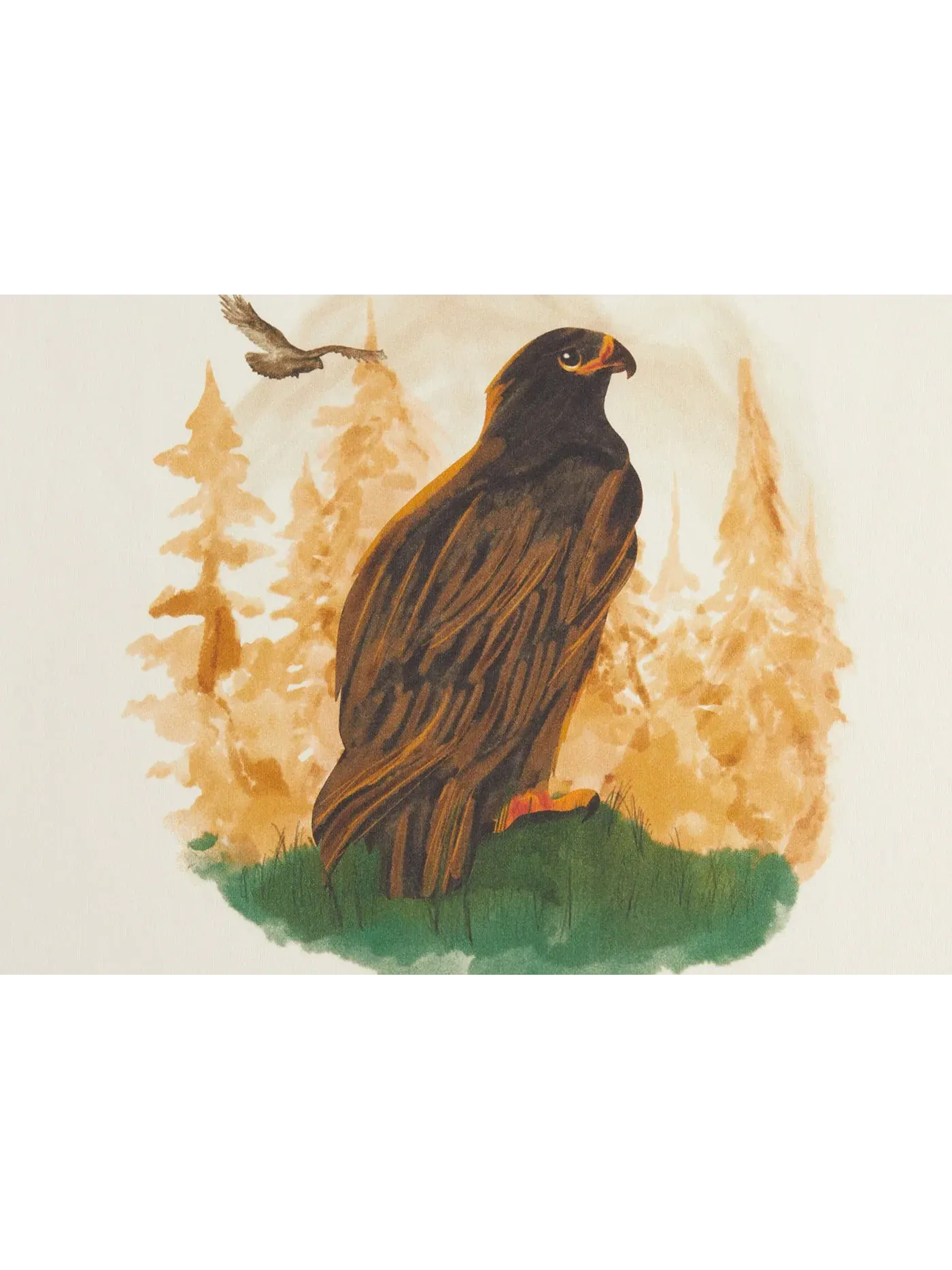 Мужская футболка с принтом Kith x Columbia Eagle Illustration Vintage Tee Kith, History — изображение 2 из 2