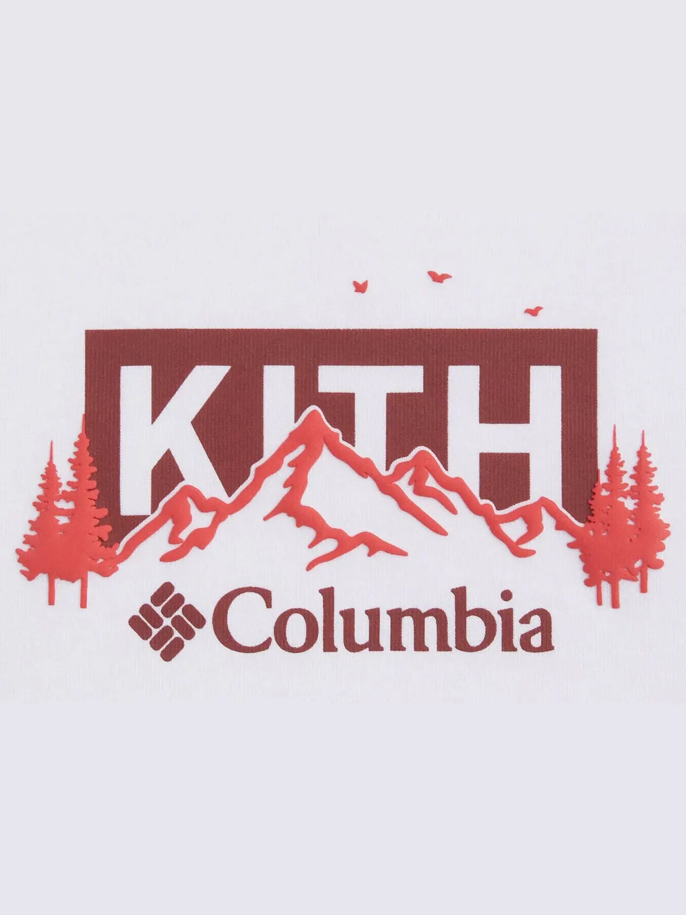 Мужская футболка с принтом Kith x Columbia Landscape Classic Logo Tee — изображение 2 из 2, соблазн