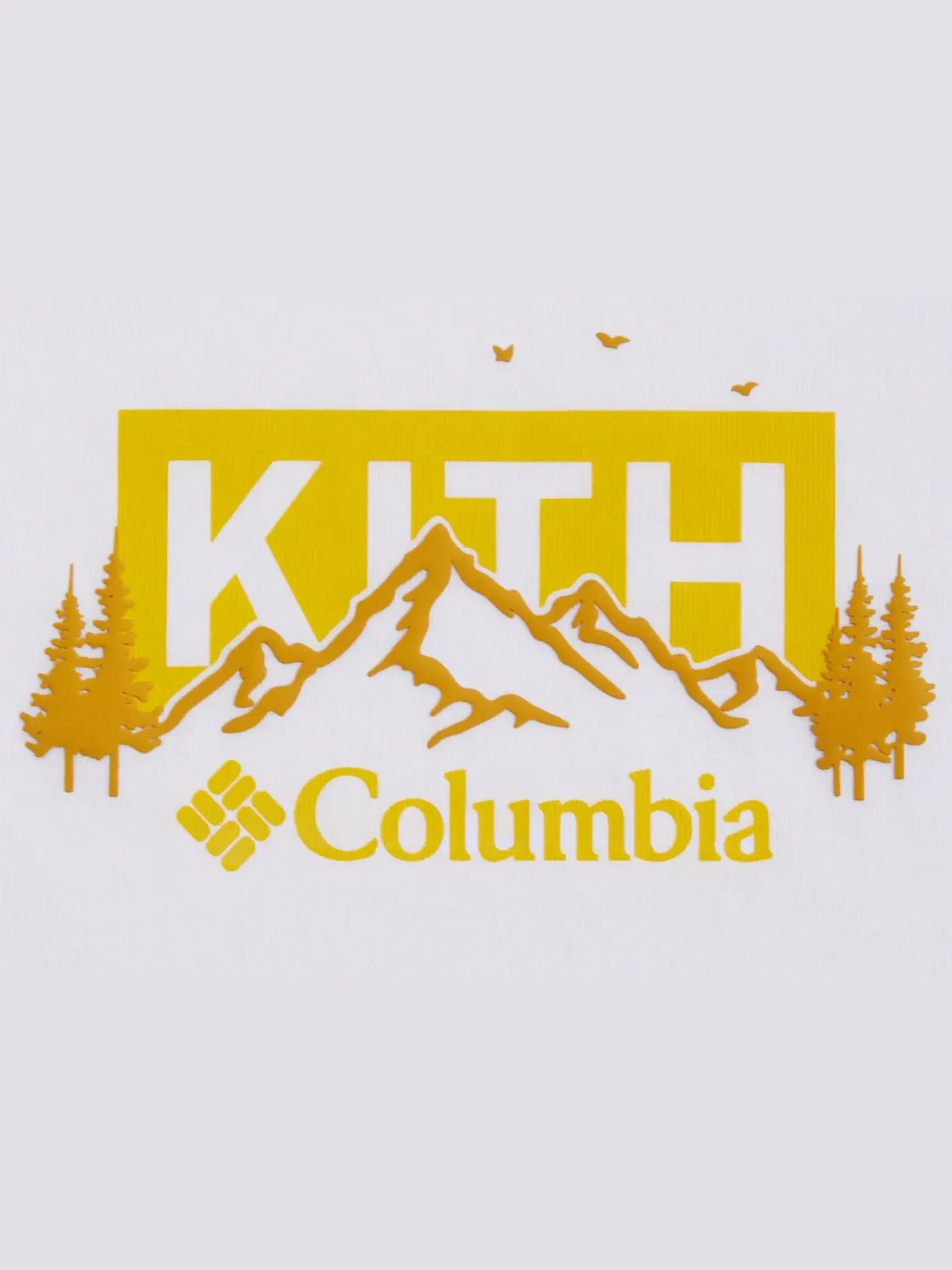 Мужская футболка с принтом Kith x Columbia Landscape Classic Logo Tee Kith, Opulence — изображение 2 из 2