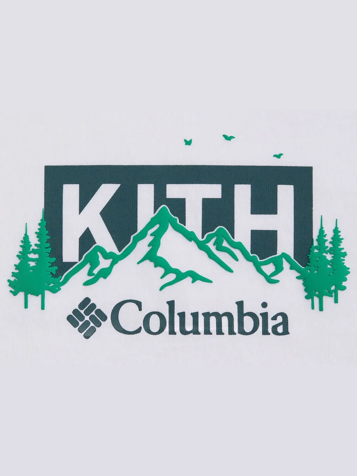 Мужская футболка с принтом Kith x Columbia Landscape Classic Logo Tee, Stadium — изображение 2 из 2