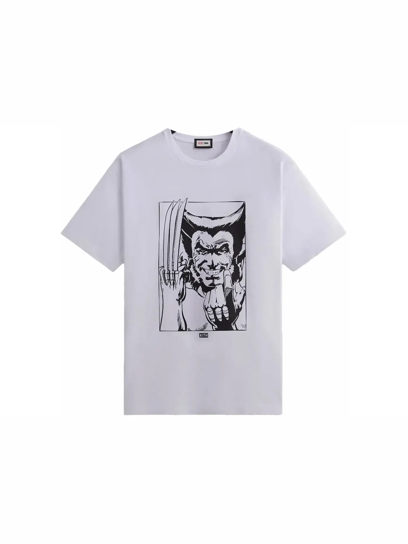Мужская футболка с принтом Kith x Marvel X-Men Anatomy Vintage Tee Kith — изображение 1 из 2, белый