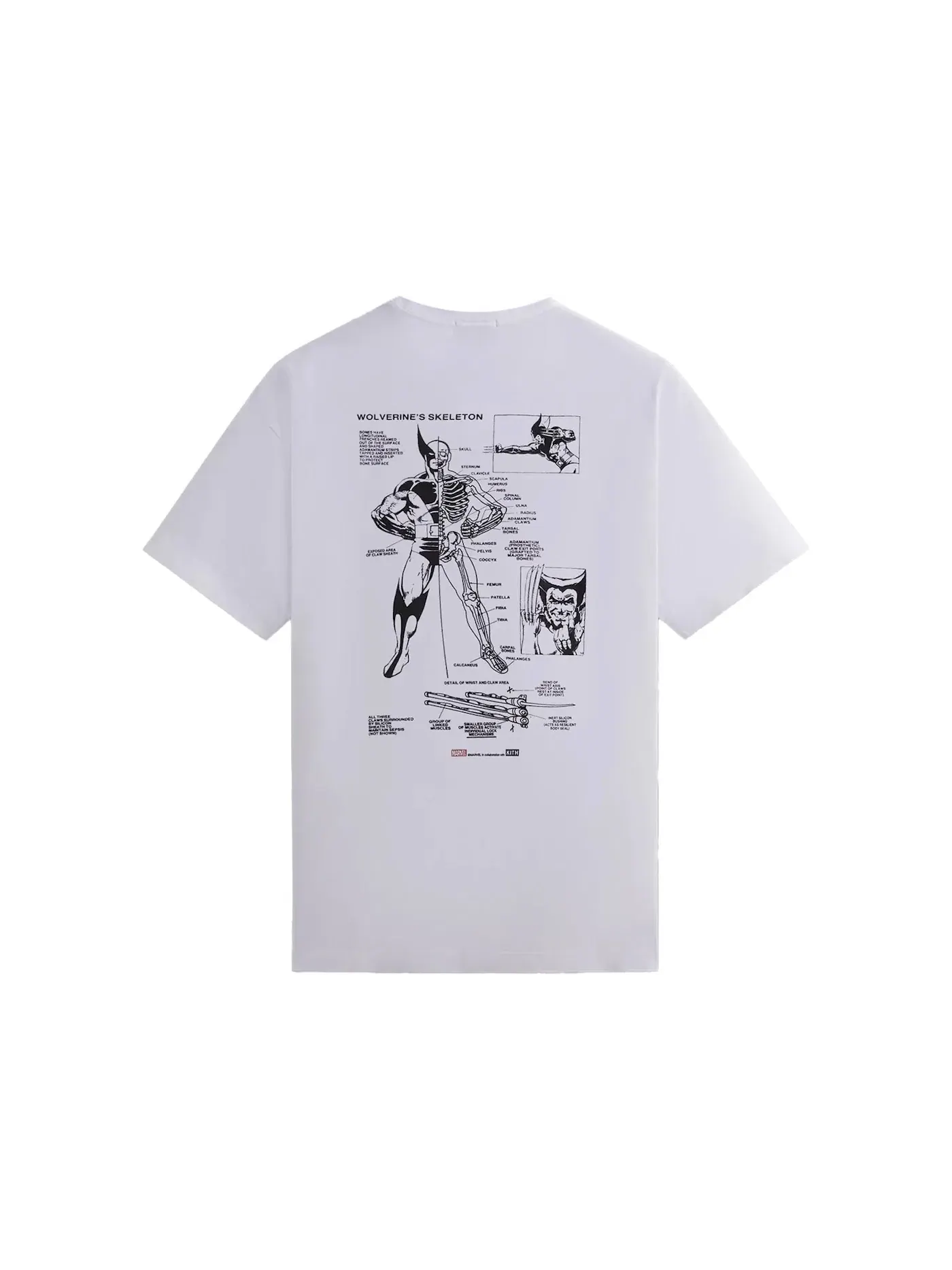 Мужская футболка с принтом Kith x Marvel X-Men Anatomy Vintage Tee Kith — изображение 2 из 2, белый