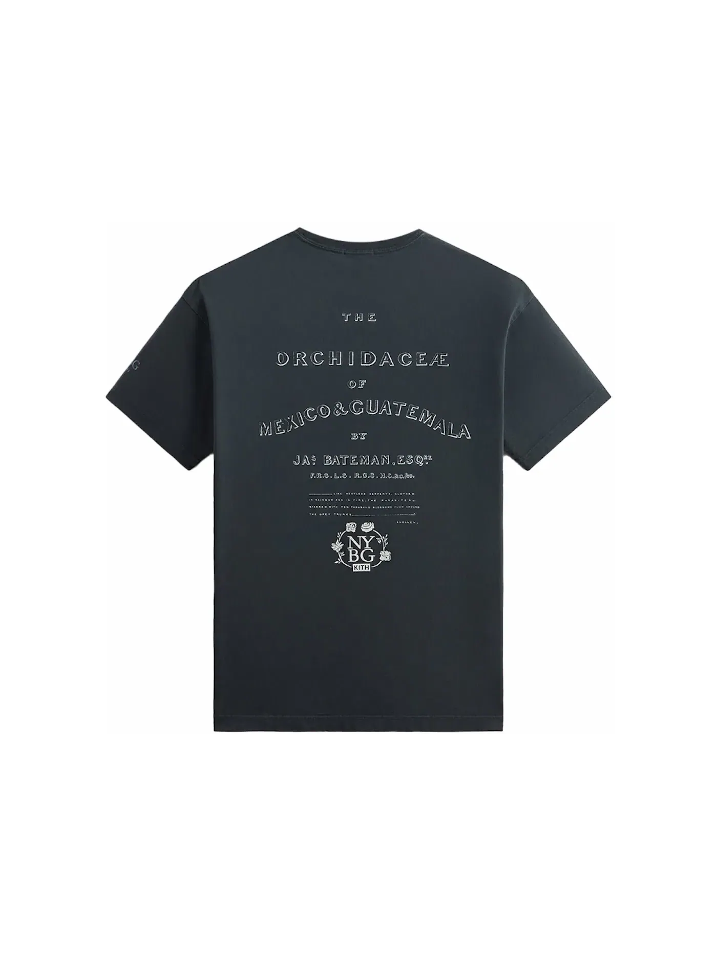 Мужская футболка с принтом Kith x New York Botanical Garden Title Page Vintage Tee — изображение 2 из 2, ночной