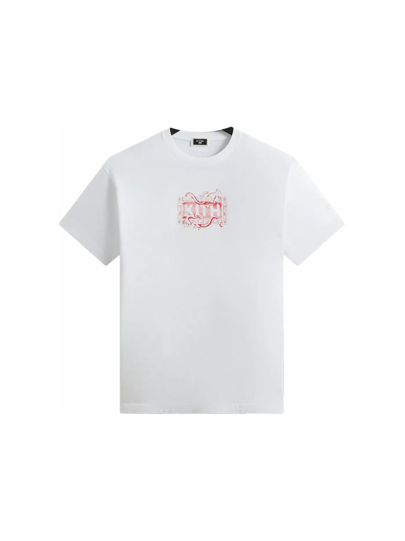 Мужская футболка с принтом Kith x New York Botanical Garden Title Page Vintage Tee — изображение 1 из 2, белый