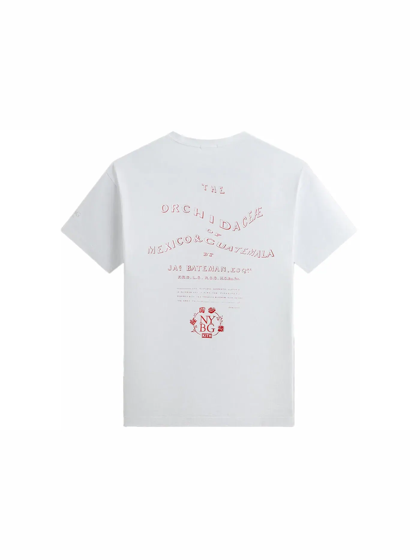 Мужская футболка с принтом Kith x New York Botanical Garden Title Page Vintage Tee — изображение 2 из 2, белый