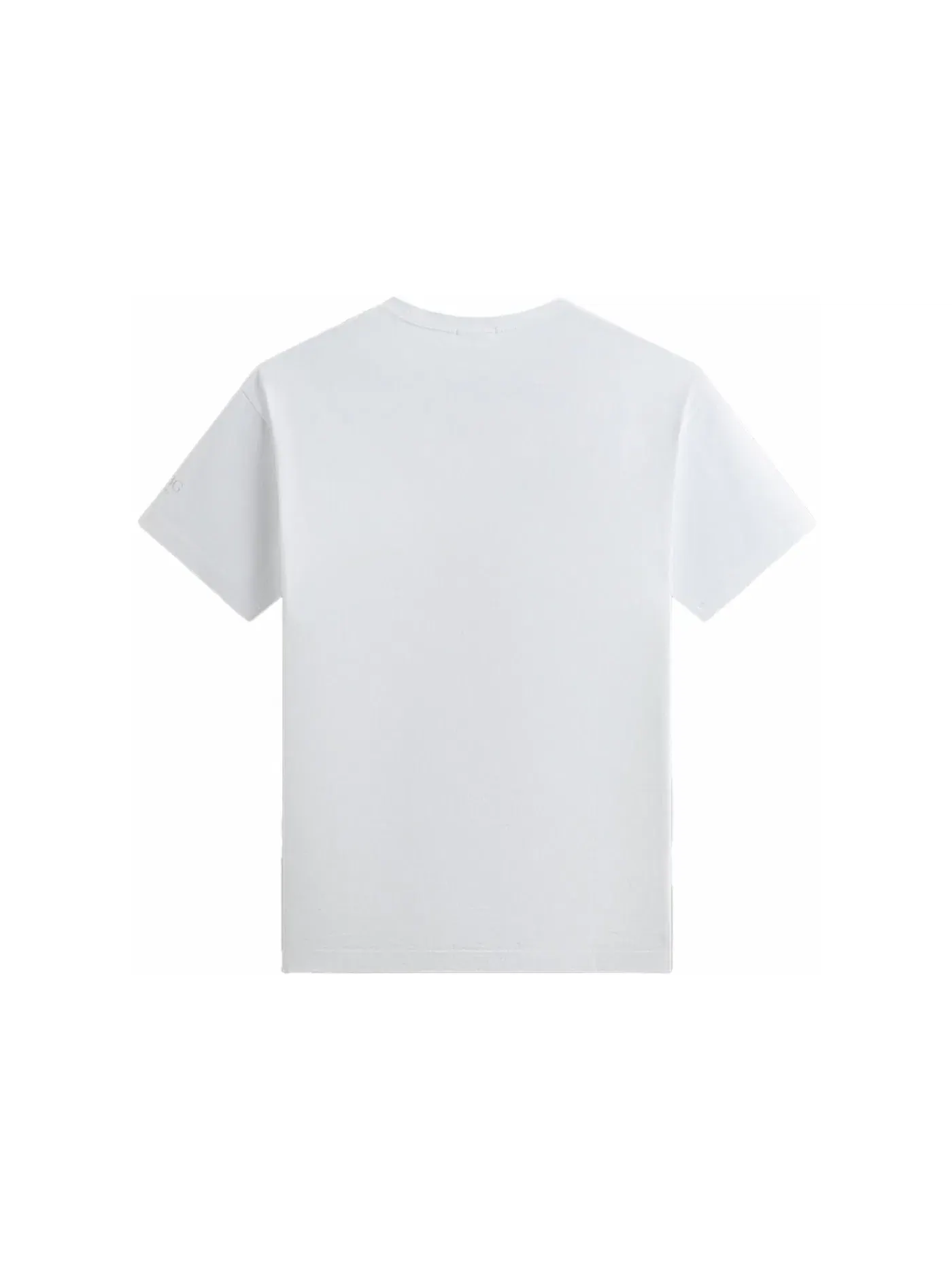 Мужская футболка с принтом Kith x New York Botanical Garden Logo Vintage Tee — изображение 2 из 2, белый
