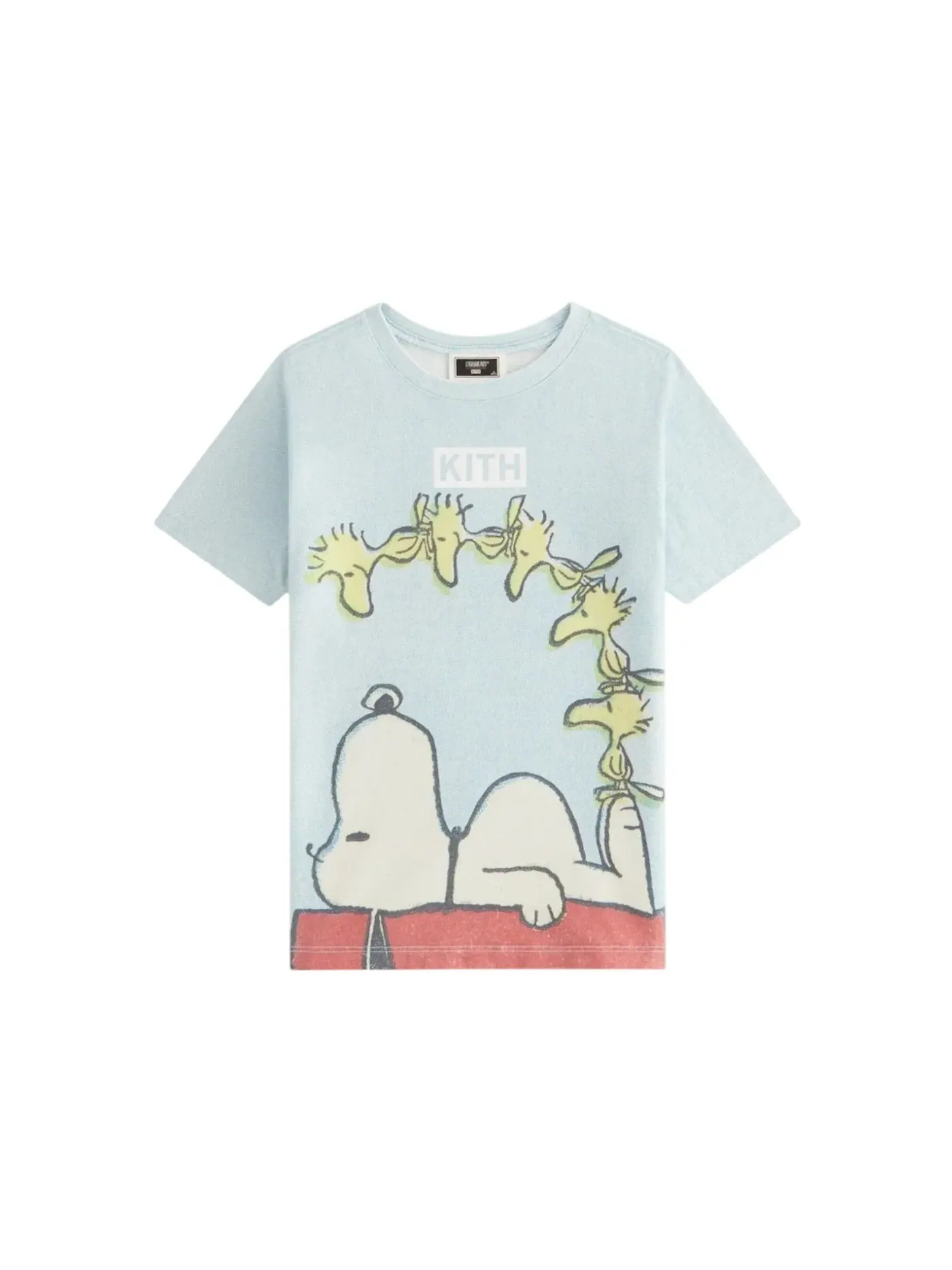 Мужская футболка с принтом Kith x Peanuts Kids Woodstock Doghouse Vintage Tee — изображение 1 из 2, блестящий