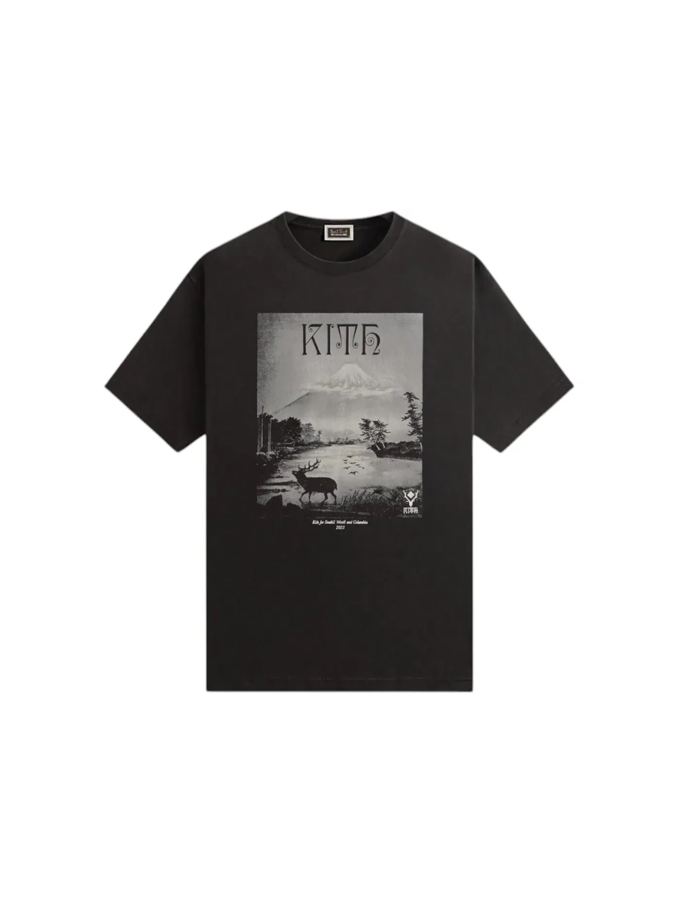 Мужская футболка с принтом Kith x South2 West8 Columbia Landscape Tee — изображение 1 из 2, черный