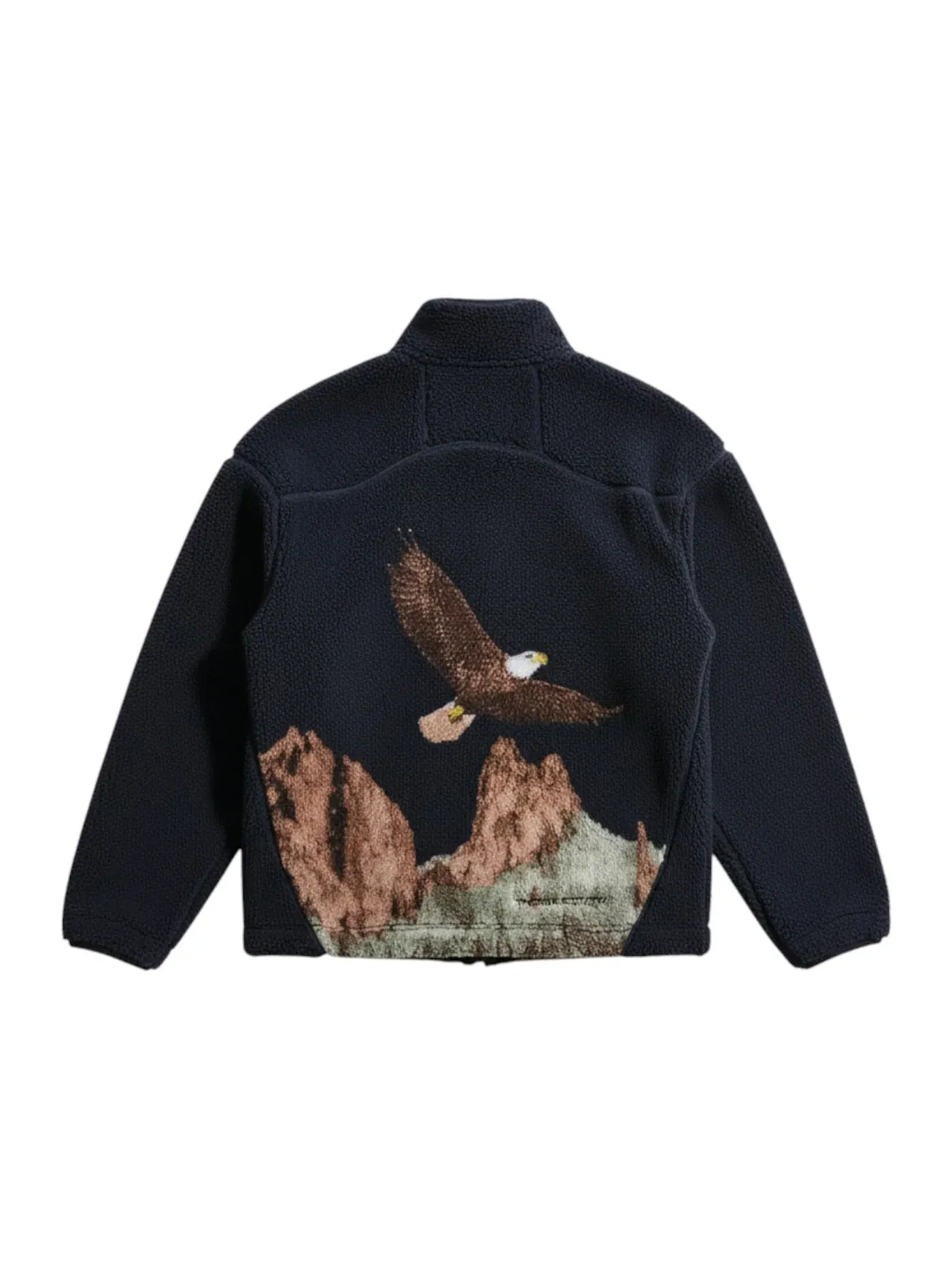 Женская куртка с принтом Nike ACG x Team USA Olympics 2026 Therma FIT ADV — изображение 2 из 2, синий