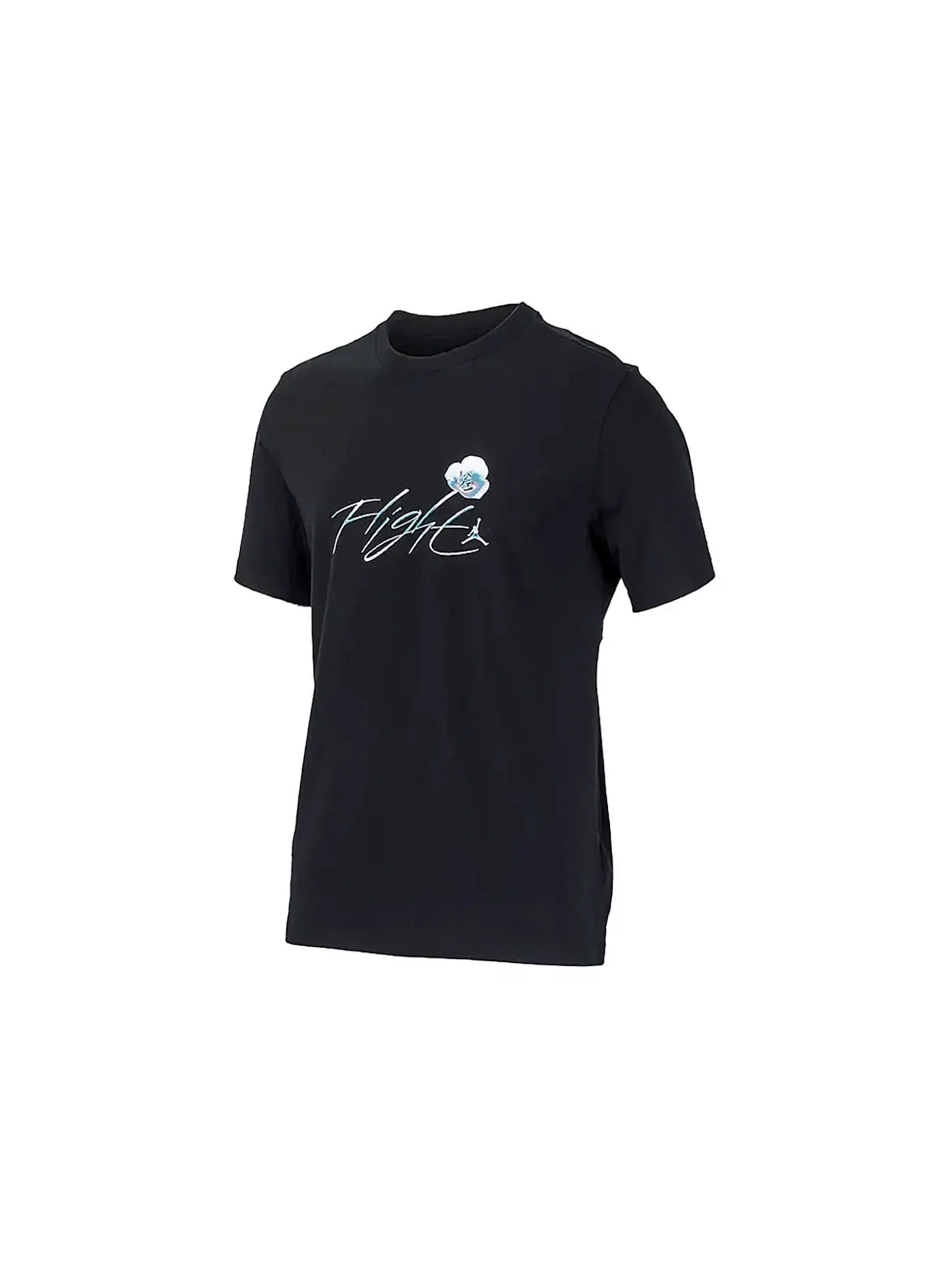 Мужская футболка с принтом Nike Air Jordan Flight Tee — изображение 1 из 1, черный