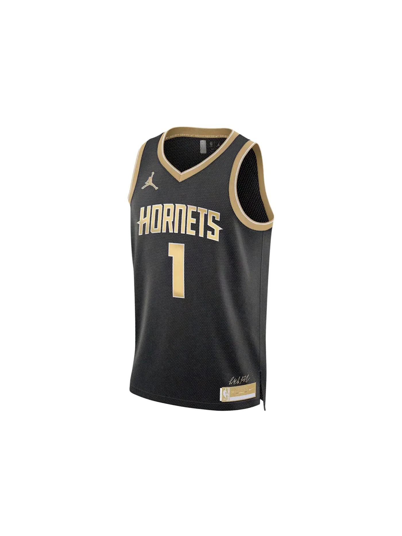 Мужская баскетбольная джерси с принтом Jordan NBA LaMelo Ball Charlotte Hornets Select Series 2024 Nike — изображение 1 из 2