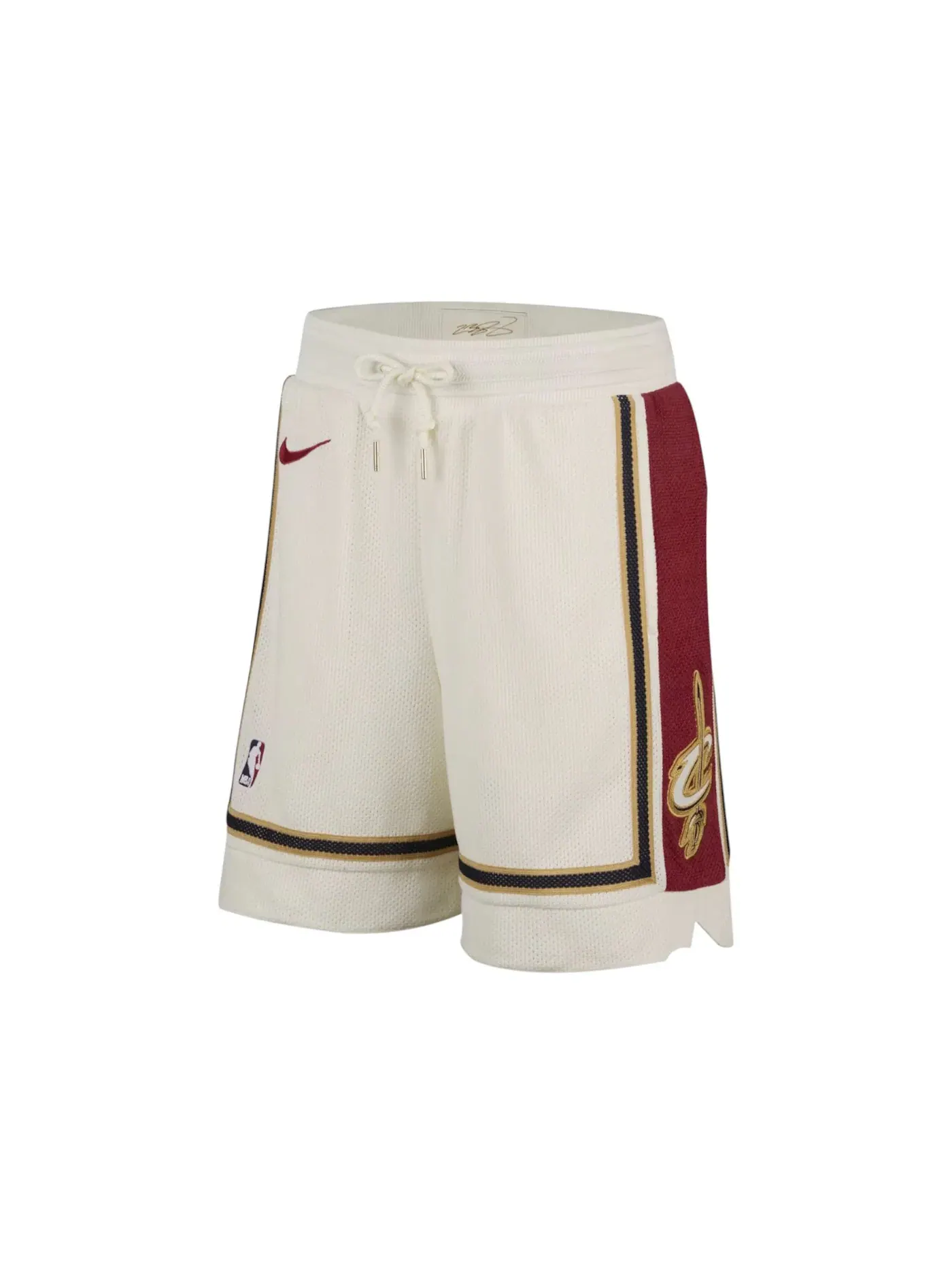 Мужские шорты Dri-FIT Nike LeBron James Shorts — изображение 1 из 3, мульти