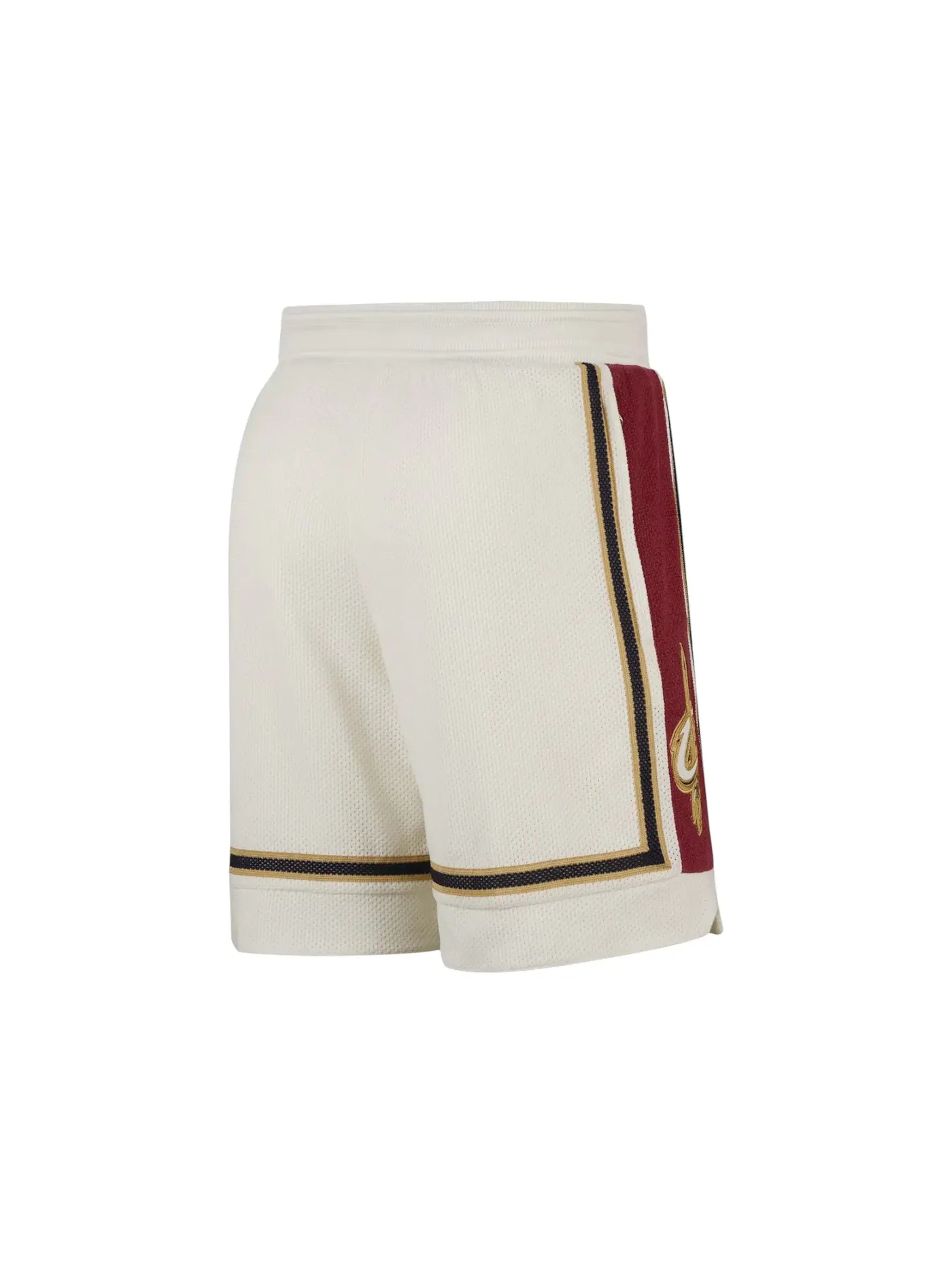 Мужские шорты Dri-FIT Nike LeBron James Shorts — изображение 3 из 3, мульти