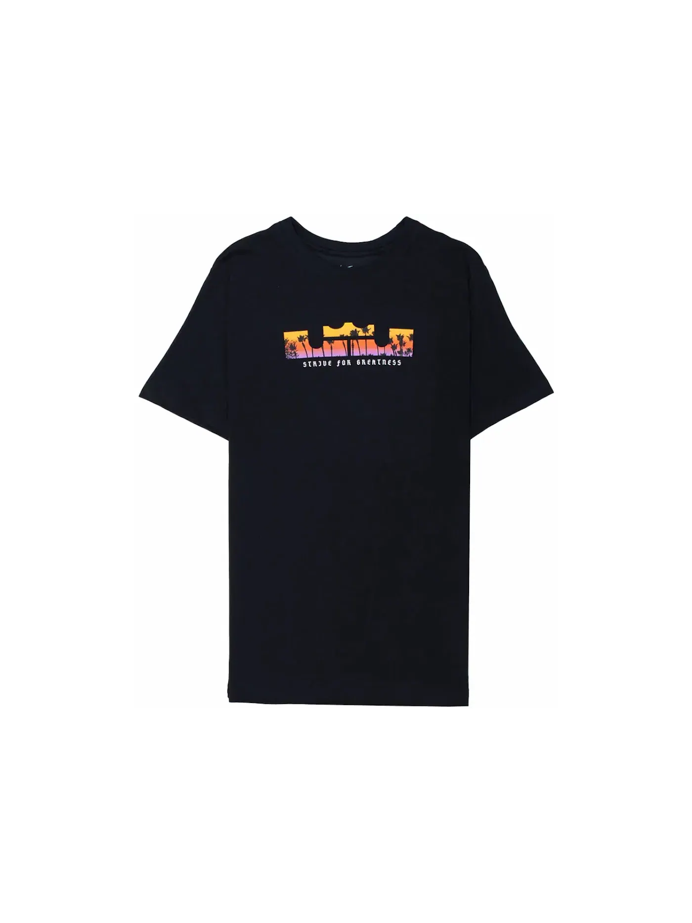 Мужская футболка с логотипом Nike LeBron Logo Dri-Fit T-shirt Nike — изображение 1 из 1, черный