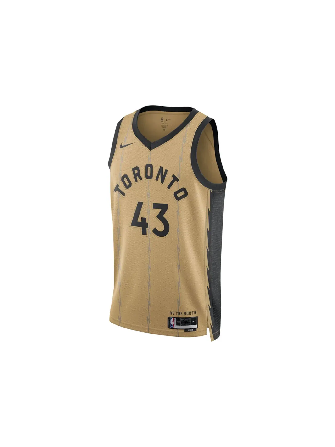 Мужская баскетбольная джерси Nike Pascal Siakam Toronto Raptors Jersey — изображение 1 из 1, бежевый