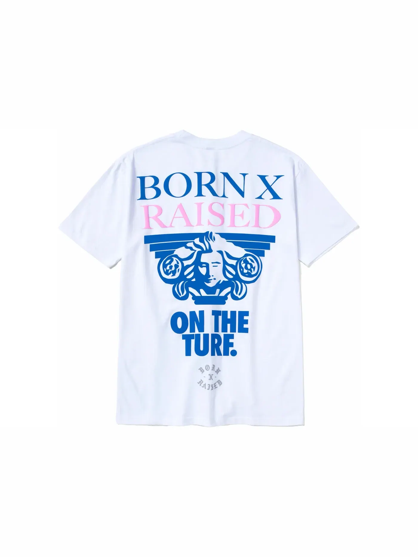 Мужская футболка с принтом Nike SB Born X Raised Capital Head Tee — изображение 1 из 2, белый