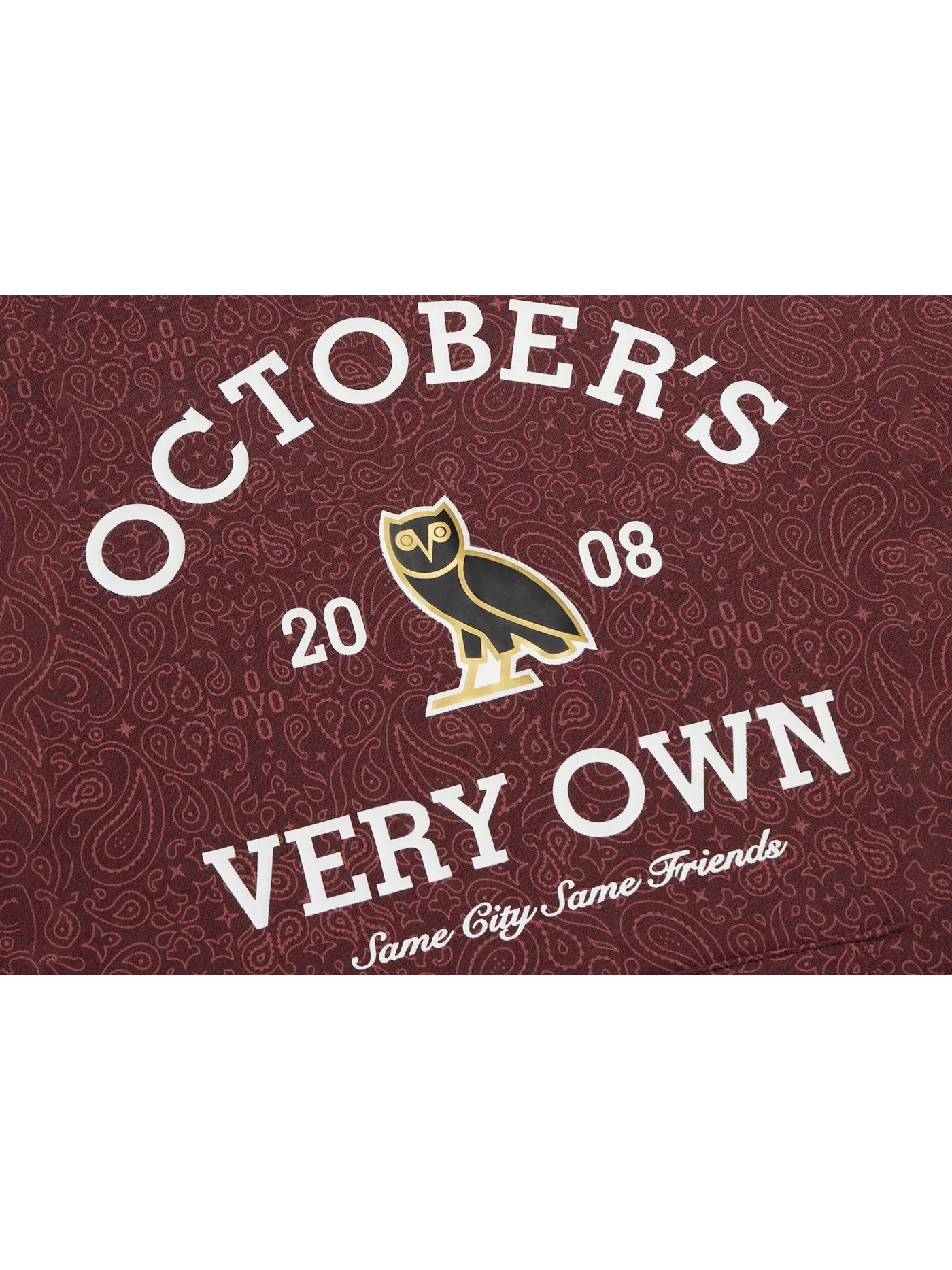Мужской худи с принтом OVO Hoodie (FW22), Merlot/Paisley — изображение 2 из 2
