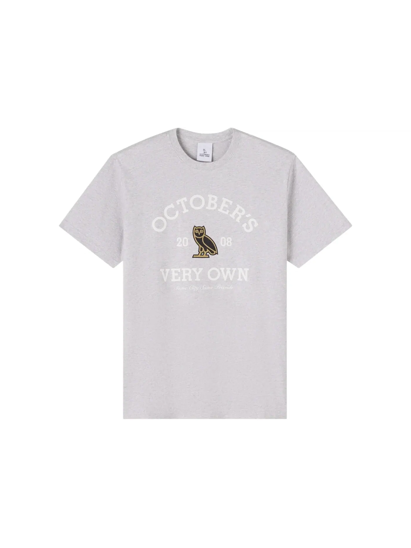 Мужская футболка с принтом OVO Collegiate T-Shirt (SS25) — изображение 1 из 1, серый