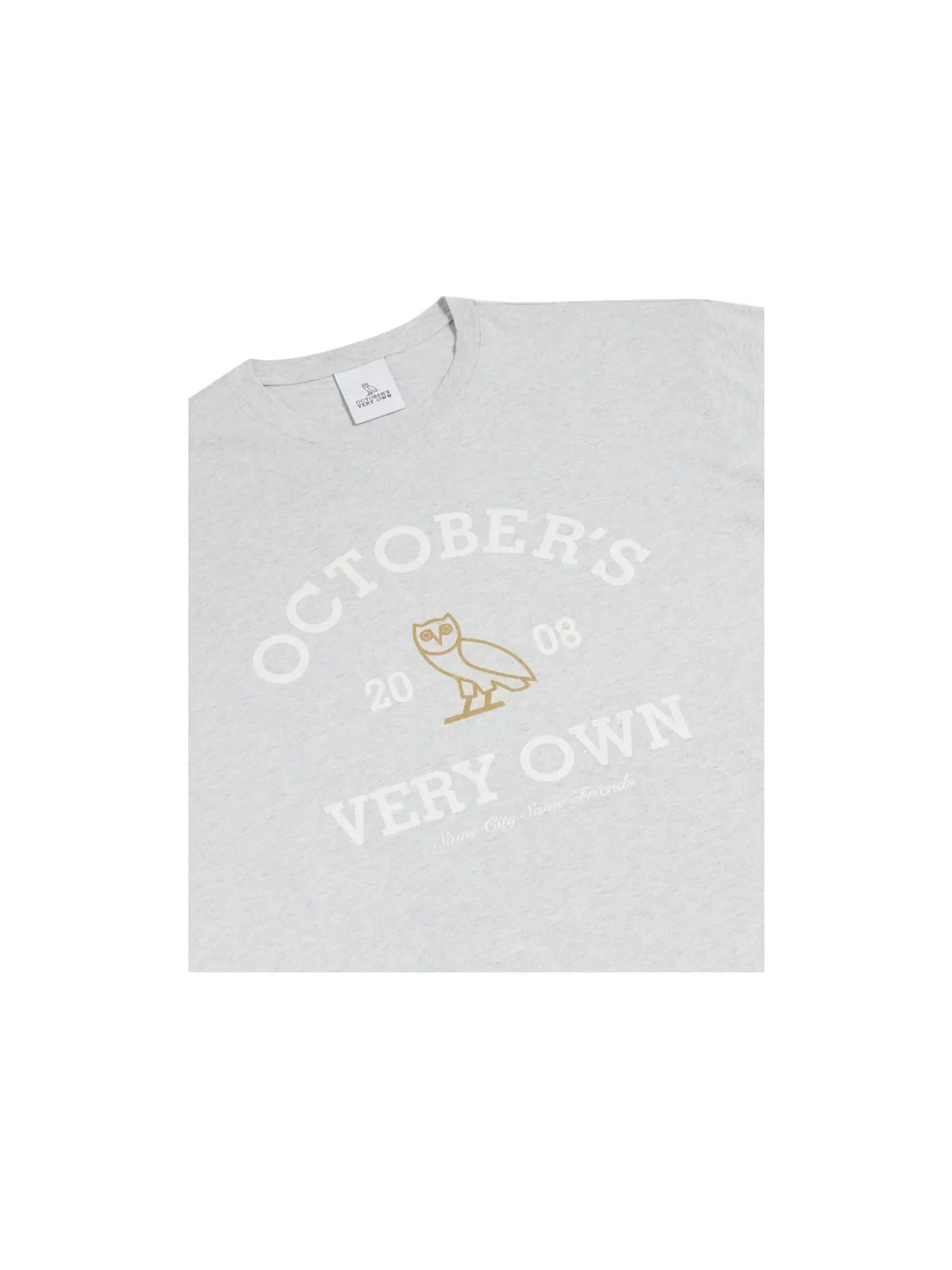 Мужская футболка с принтом OVO T-Shirt (SS26) — изображение 2 из 2, серый
