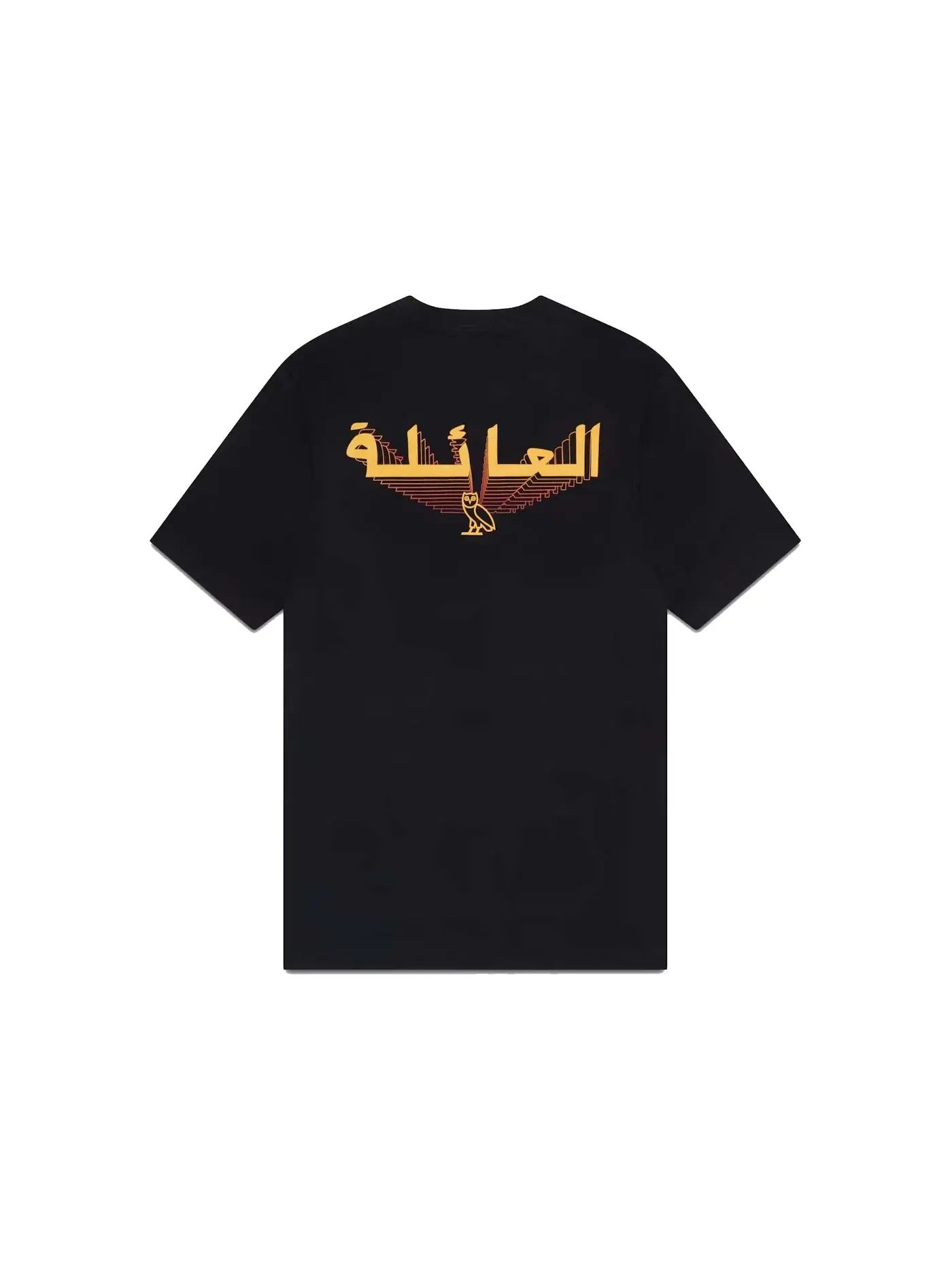 Мужская футболка с принтом OVO Echo T-Shirt — изображение 2 из 2, черный