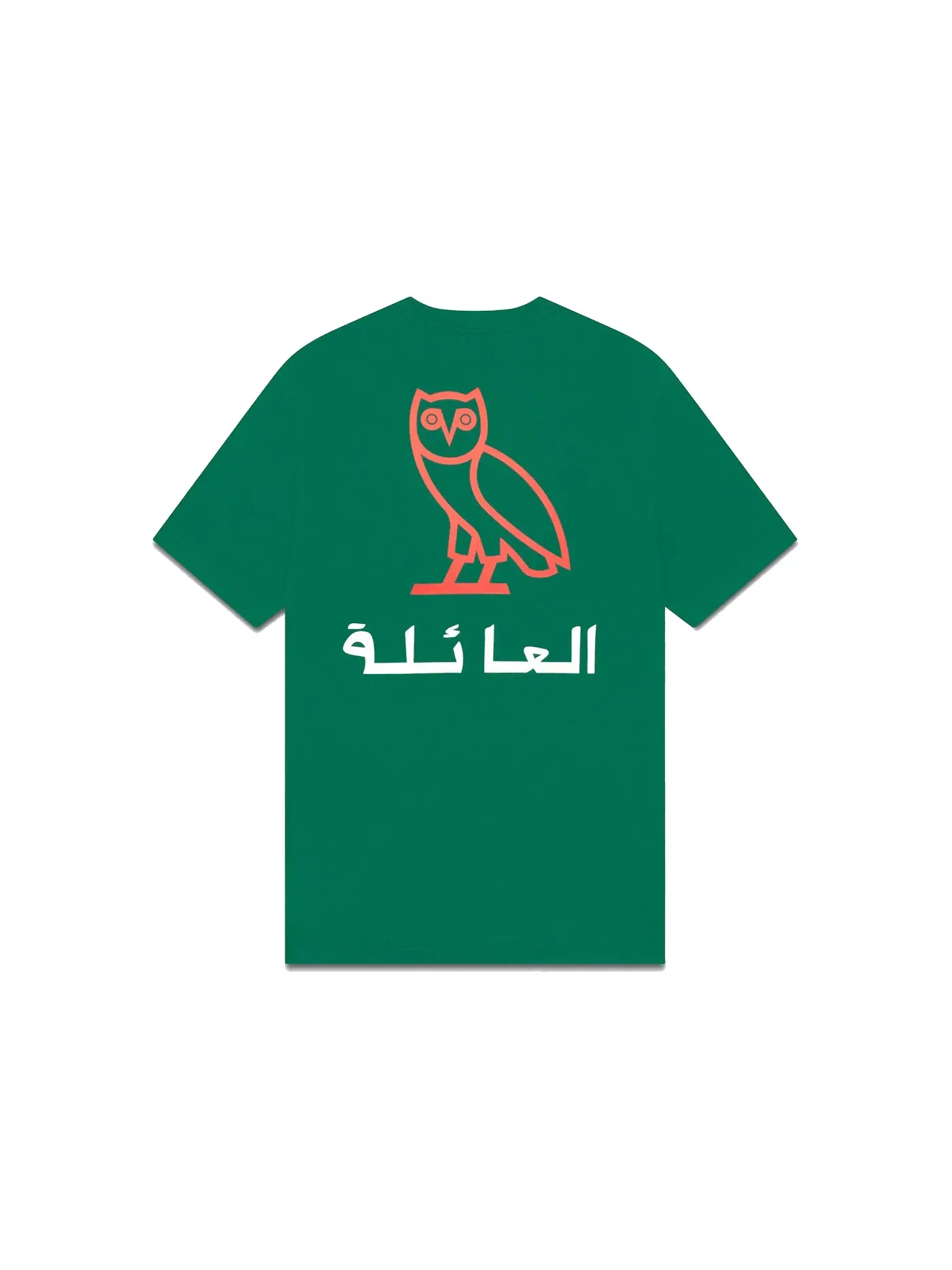 Мужская футболка с принтом OVO T-shirt — изображение 1 из 2, зеленый