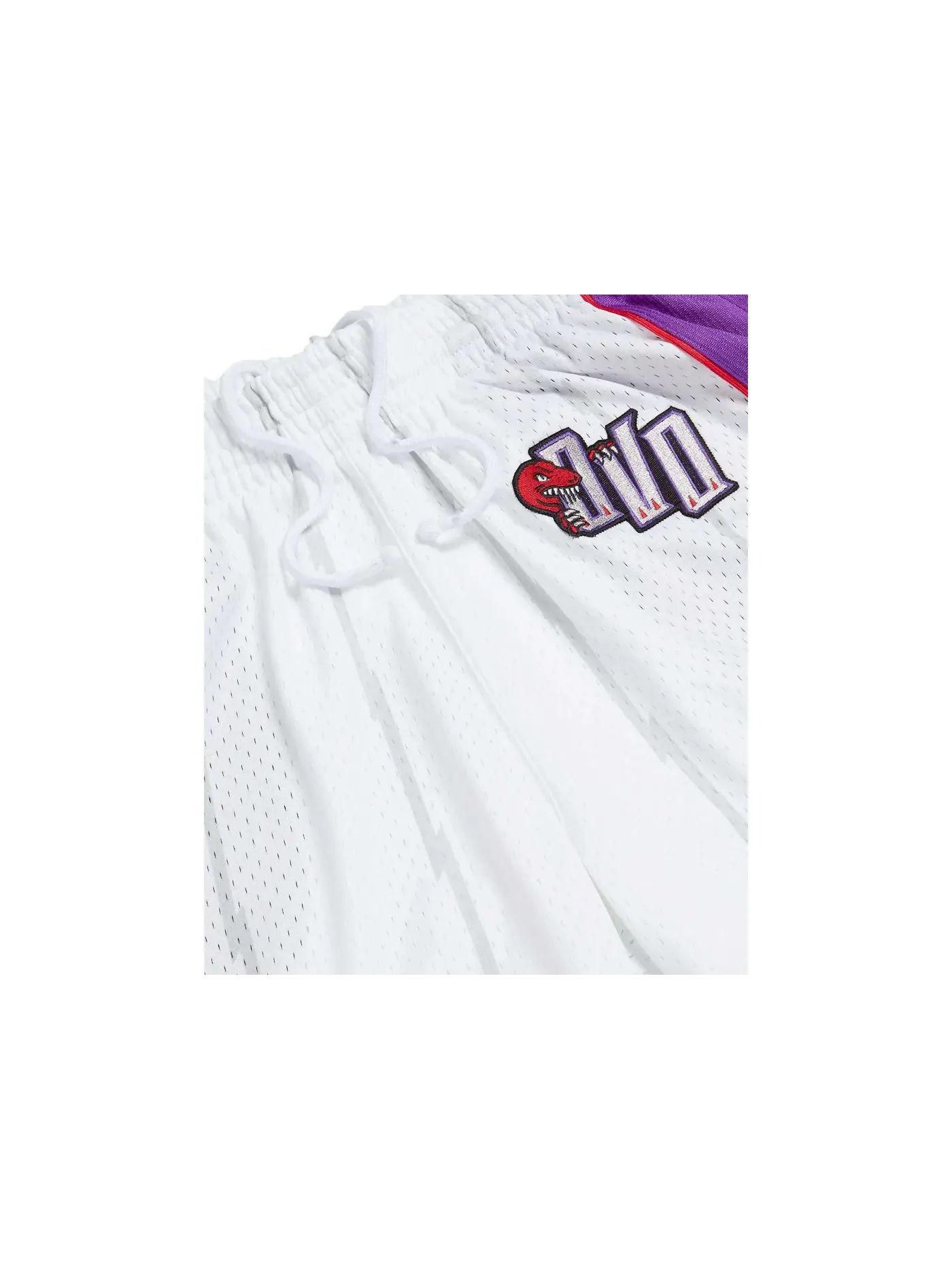 Мужские шорты с принтом Mitchell And Ness '95 Raptors Basketball OVO — изображение 3 из 3, белый/фиолетовый