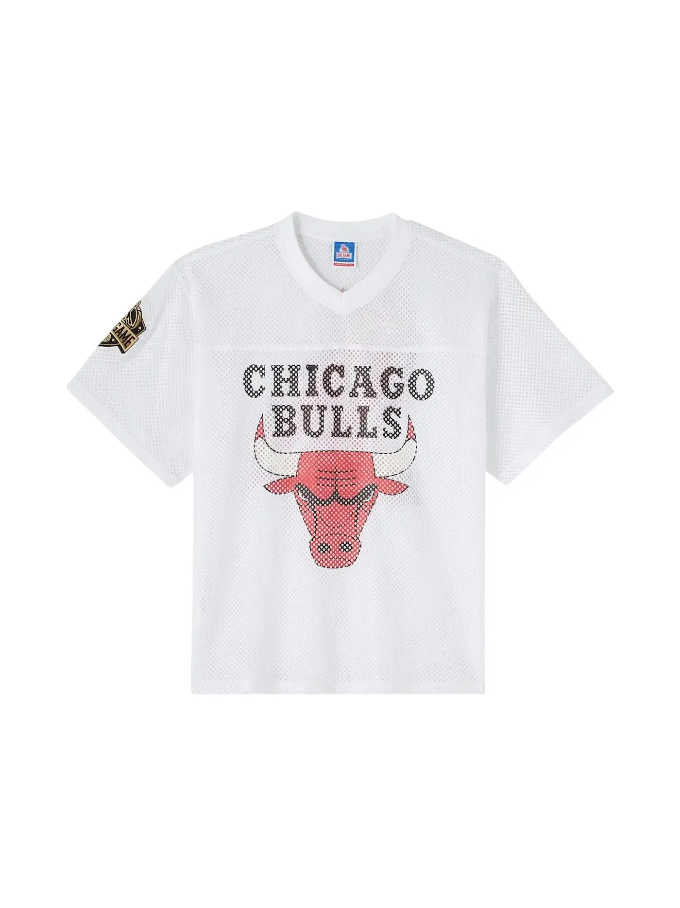 Мужская джерси с сетчатой тканью OVO NBA Chicago Bulls — изображение 1 из 2, белый