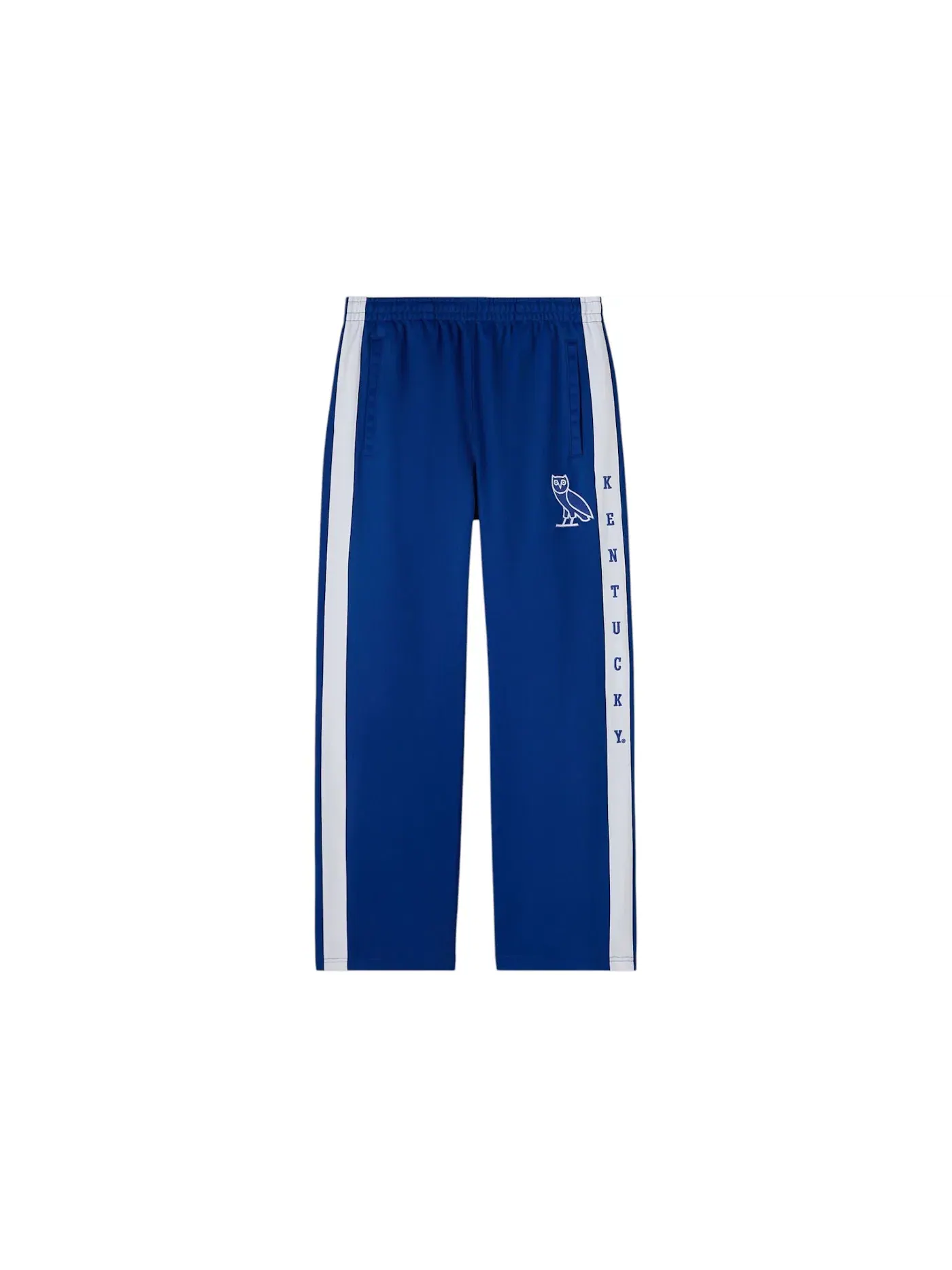 Мужские спортивные штаны с принтом Trackpants OVO — изображение 1 из 1, синий