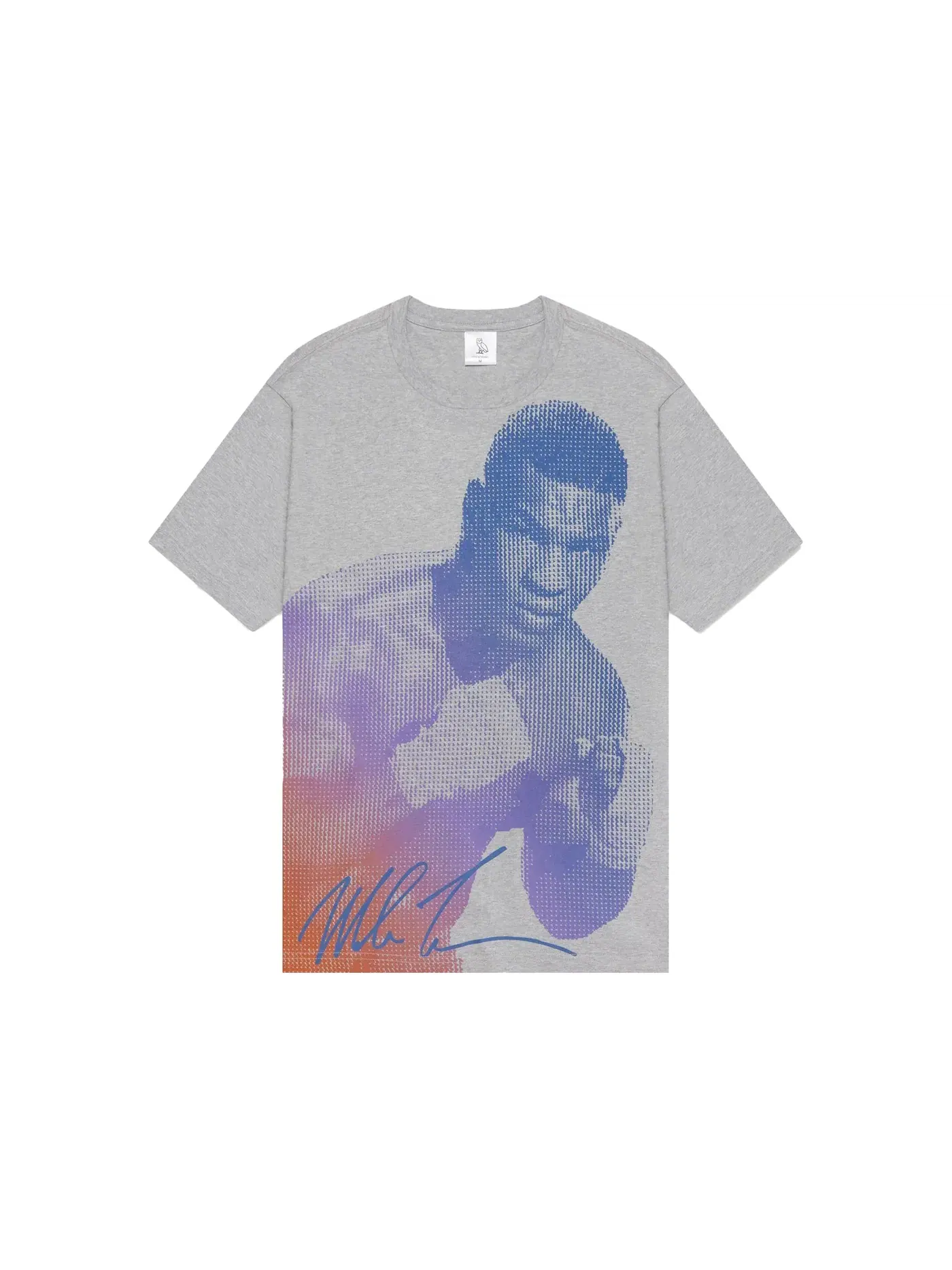 Мужская футболка с принтом OVO T-shirt — изображение 1 из 2, серый