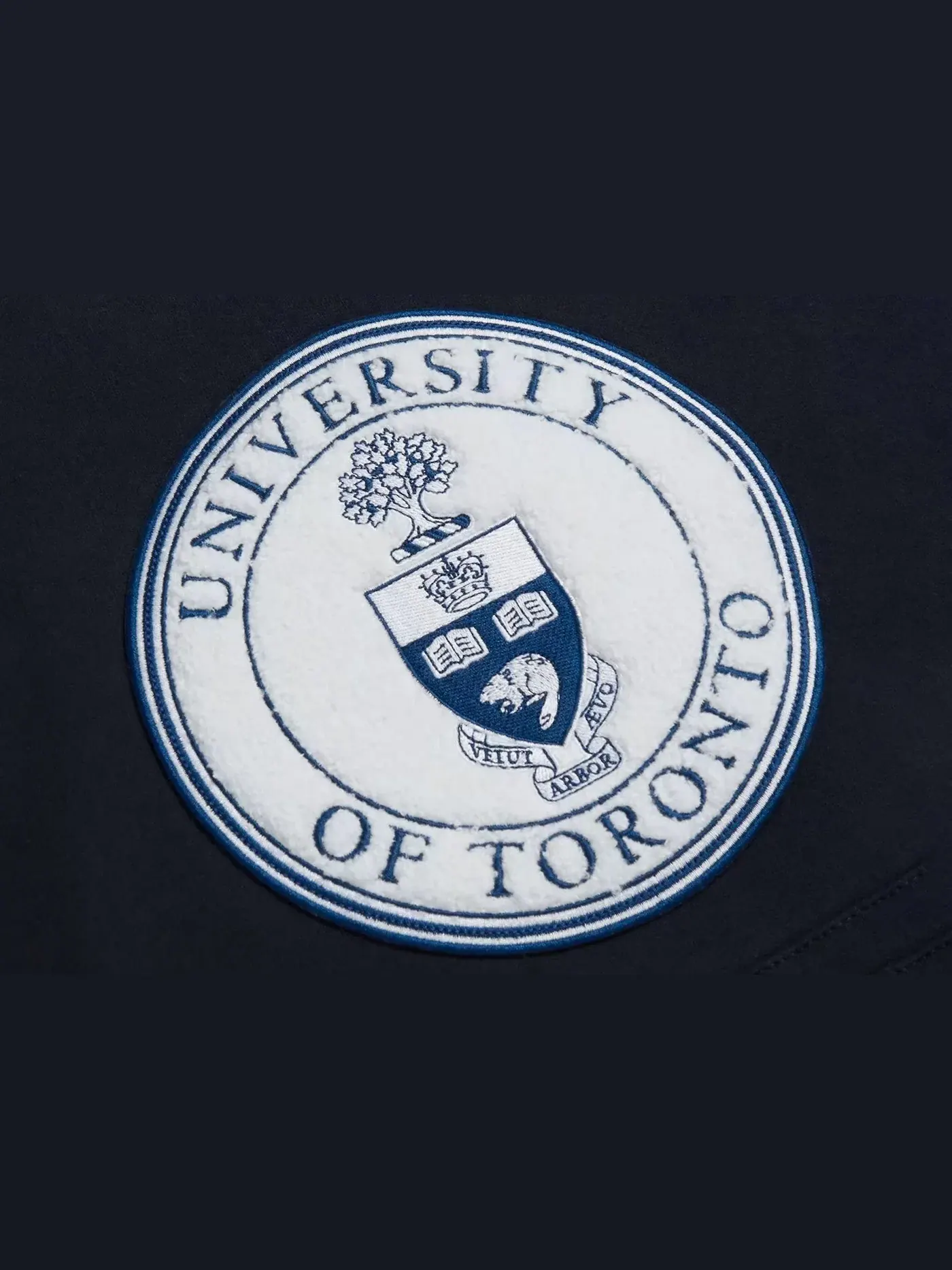 Мужская худи OVO U Of T — изображение 2 из 2, темно-синий