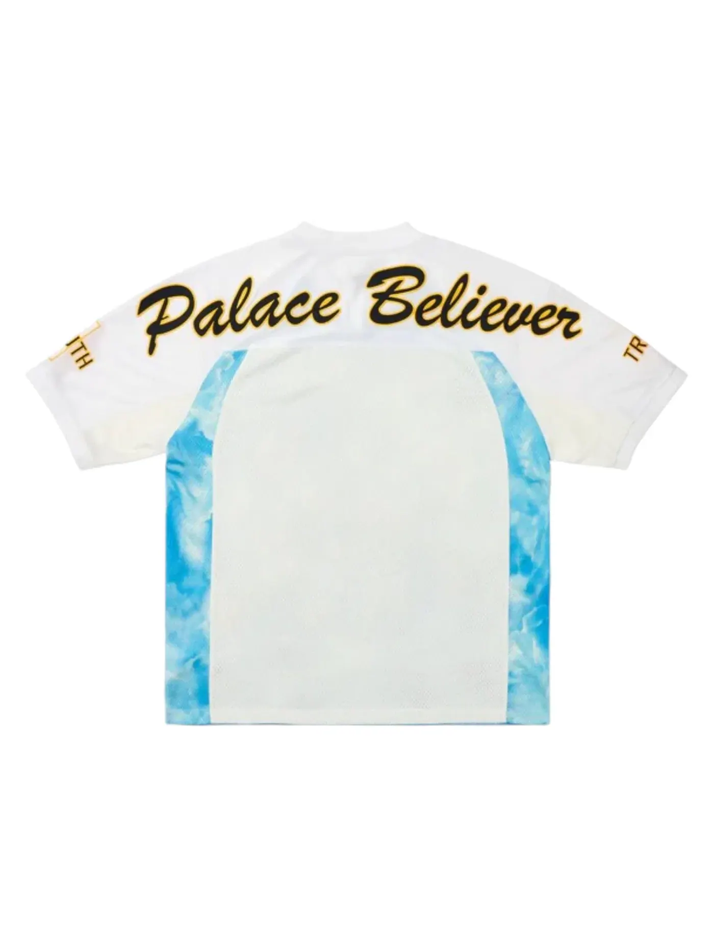Мужская футболка Jersey Palace — изображение 2 из 2, белый