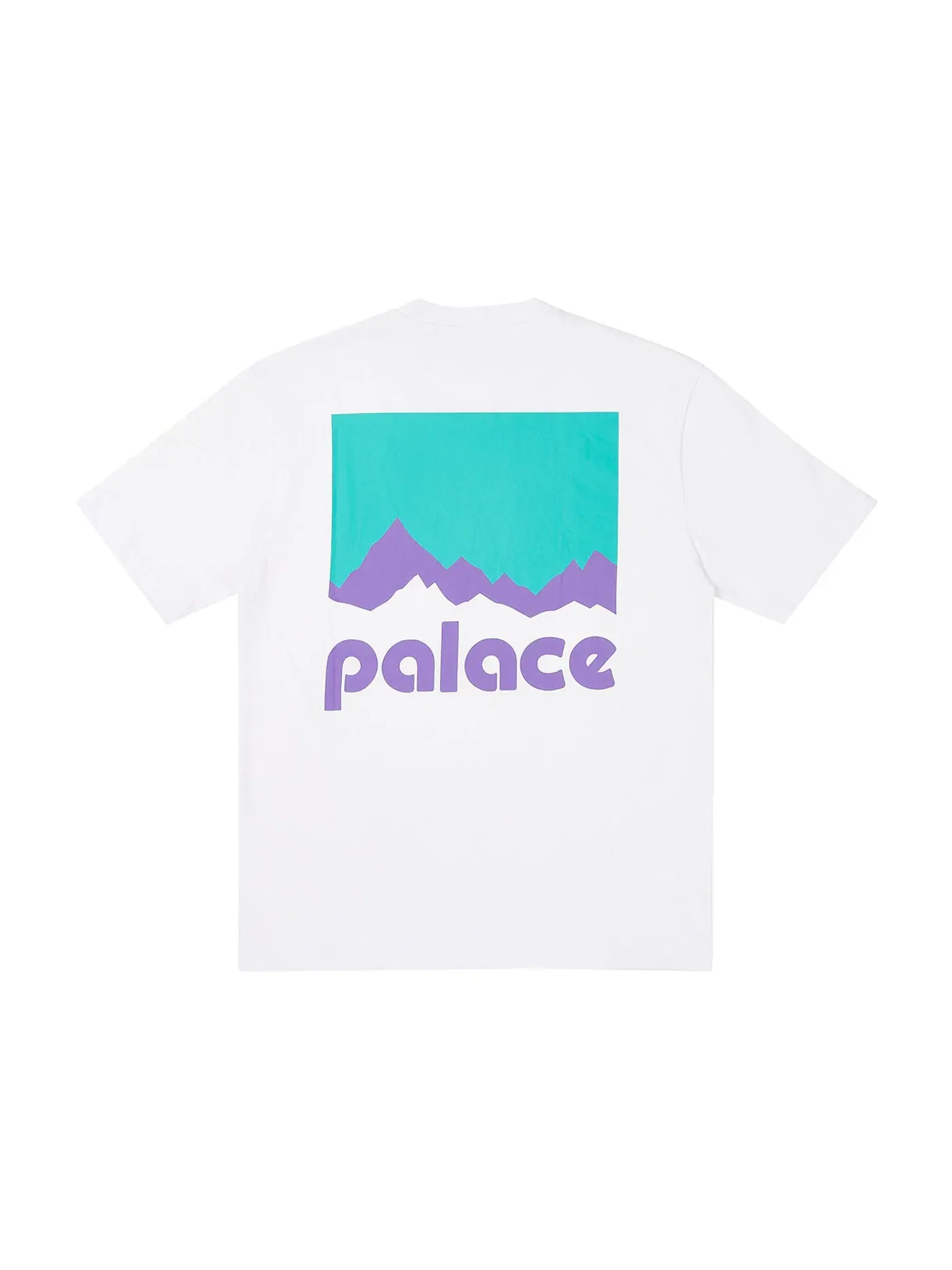 Мужская футболка с принтом Palace T-Shirt — изображение 1 из 2, белый