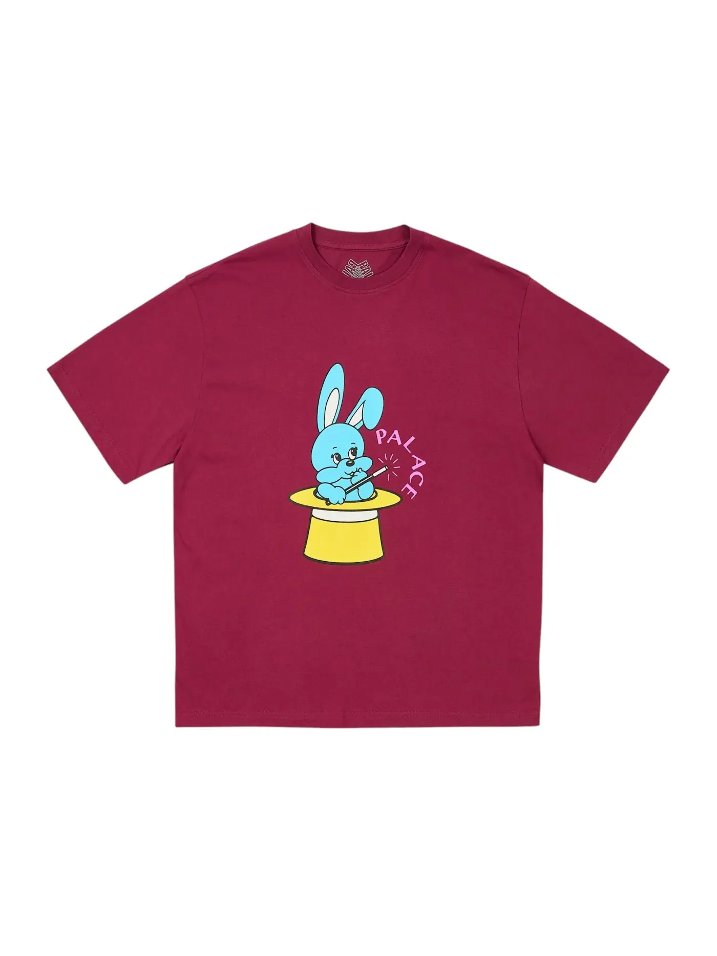 Мужская футболка с принтом Palace T-Shirt (SS25), Berg — изображение 1 из 1