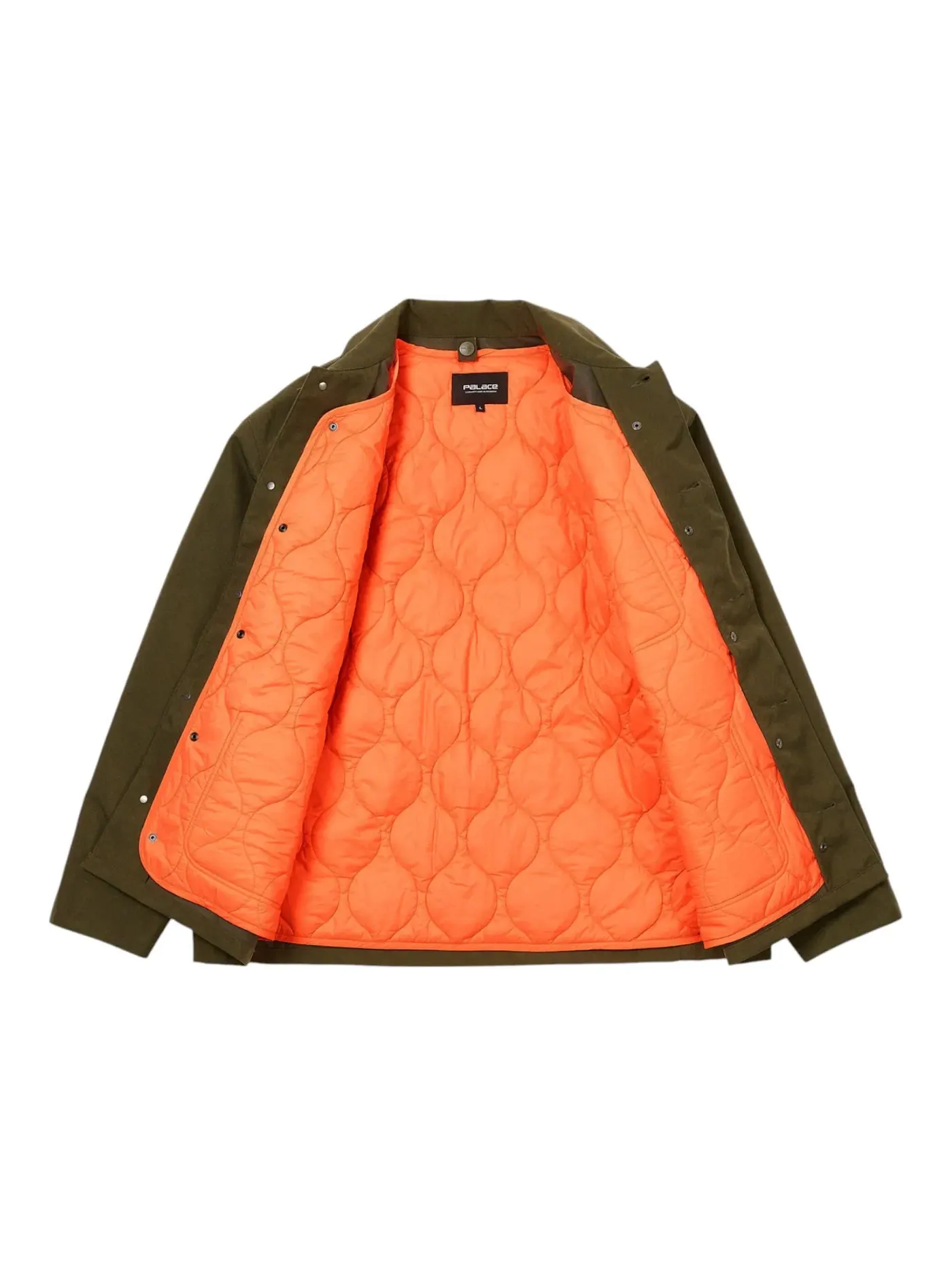 Мужское пальто-спецовка Palace Carhartt WIP, Plant — изображение 2 из 2