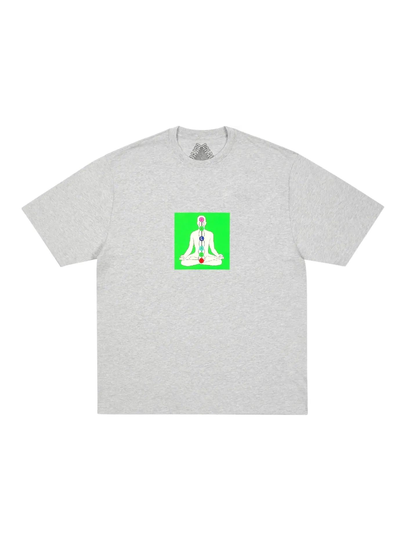 Мужская футболка с принтом Palace T-shirt — изображение 1 из 2, серый