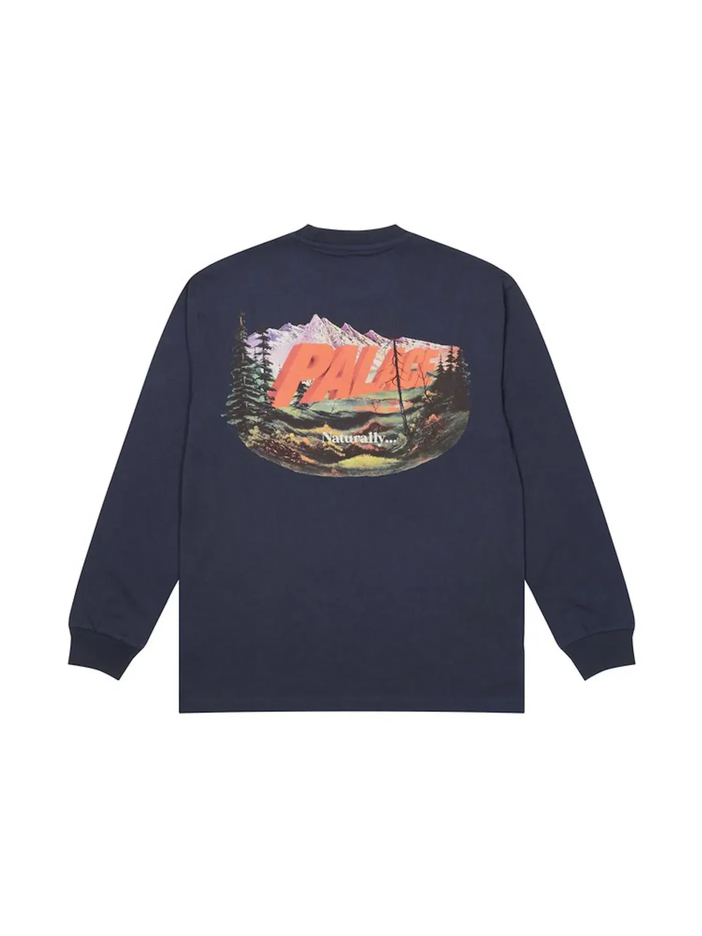 Мужская футболка с длинным рукавом Palace Longsleeve — изображение 1 из 2, темно-синий