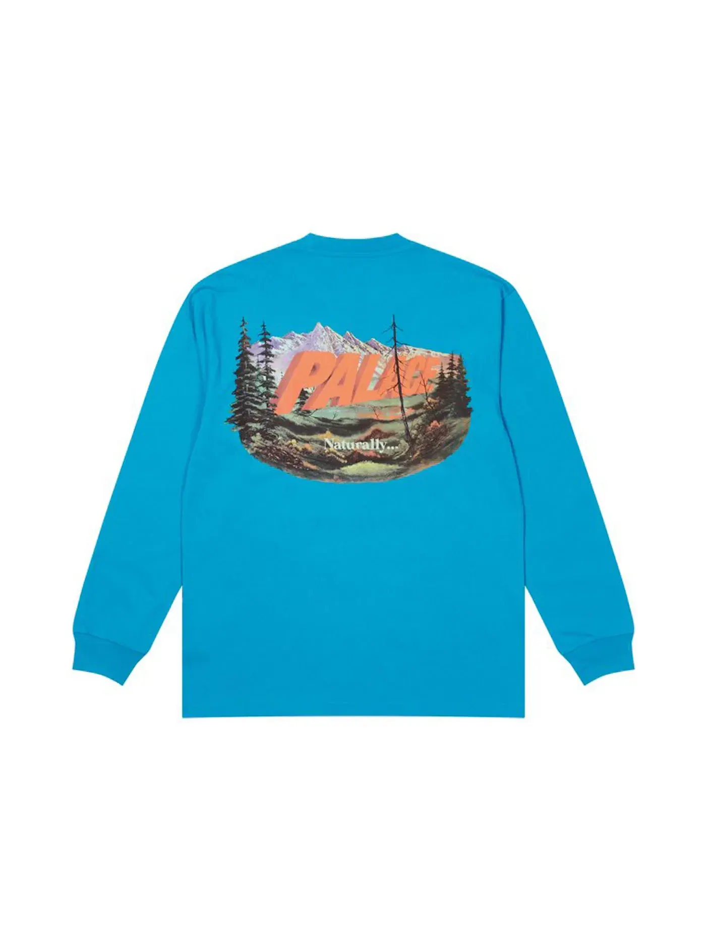 Мужская футболка с длинным рукавом Longsleeve Palace — изображение 1 из 2, синий