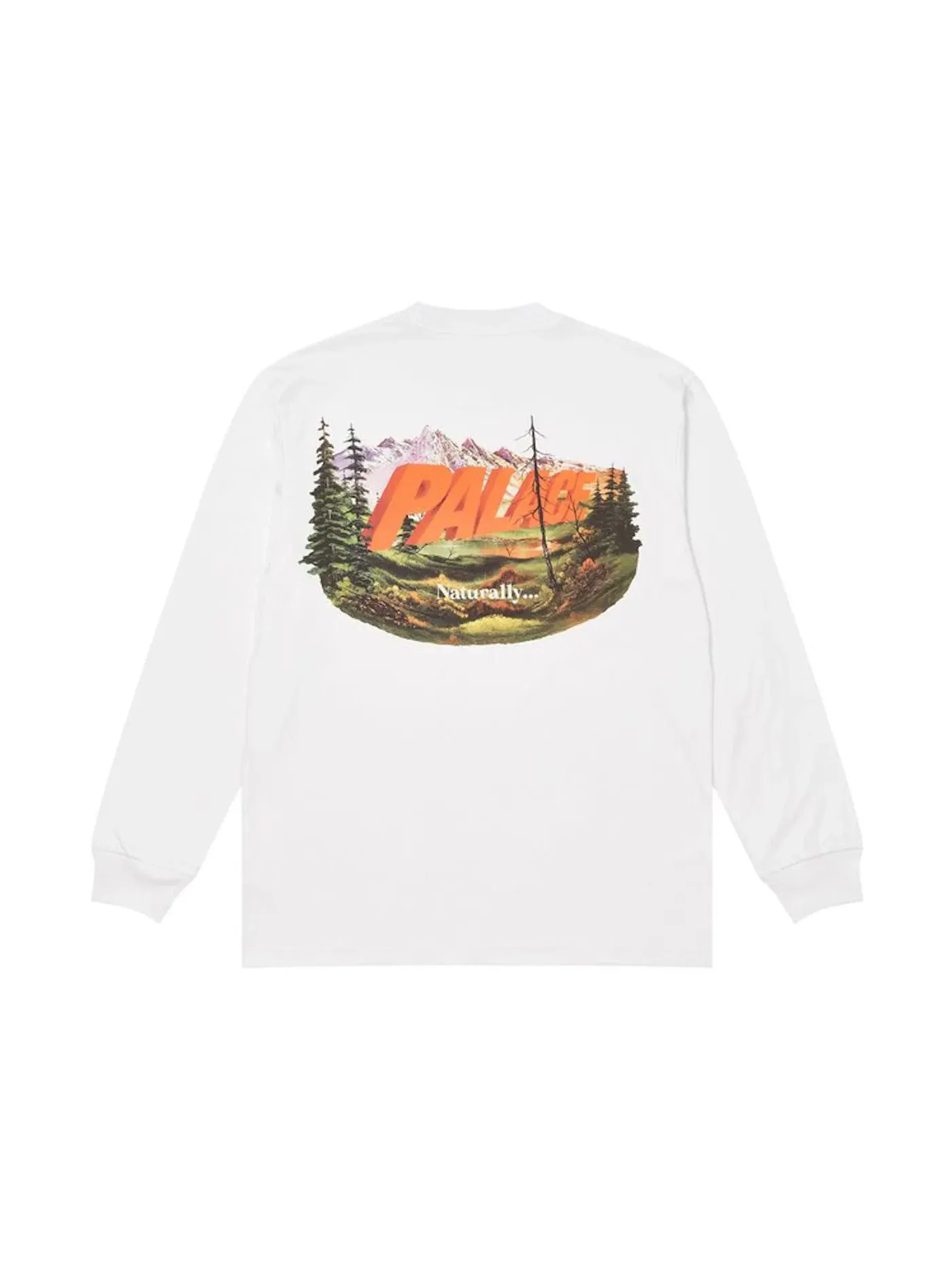 Мужская футболка с длинным рукавом Longsleeve Palace — изображение 1 из 2, белый