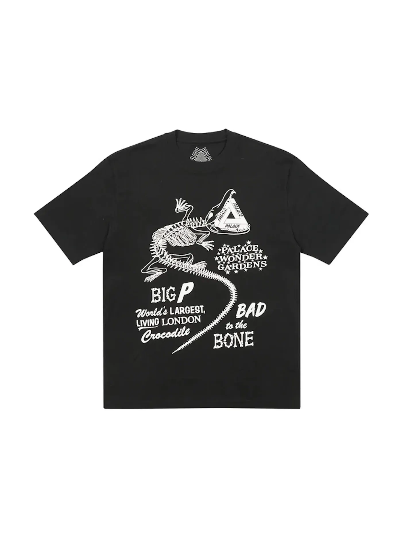 Мужская футболка с принтом Palace T-Shirt — изображение 1 из 1, черный