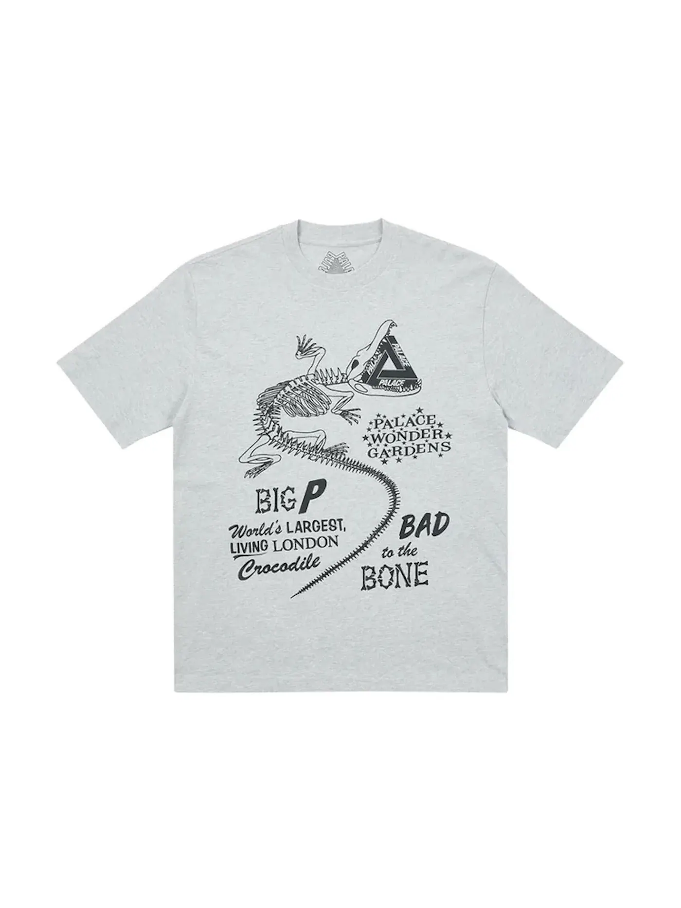 Мужская футболка с принтом Palace T-Shirt — изображение 1 из 1, серый