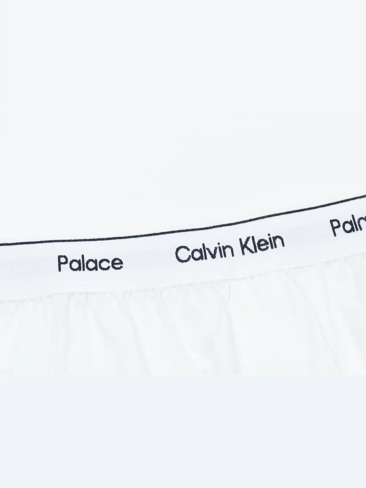 Мужские боксеры с принтом Boxers (2 Pack) Palace — изображение 3 из 3
