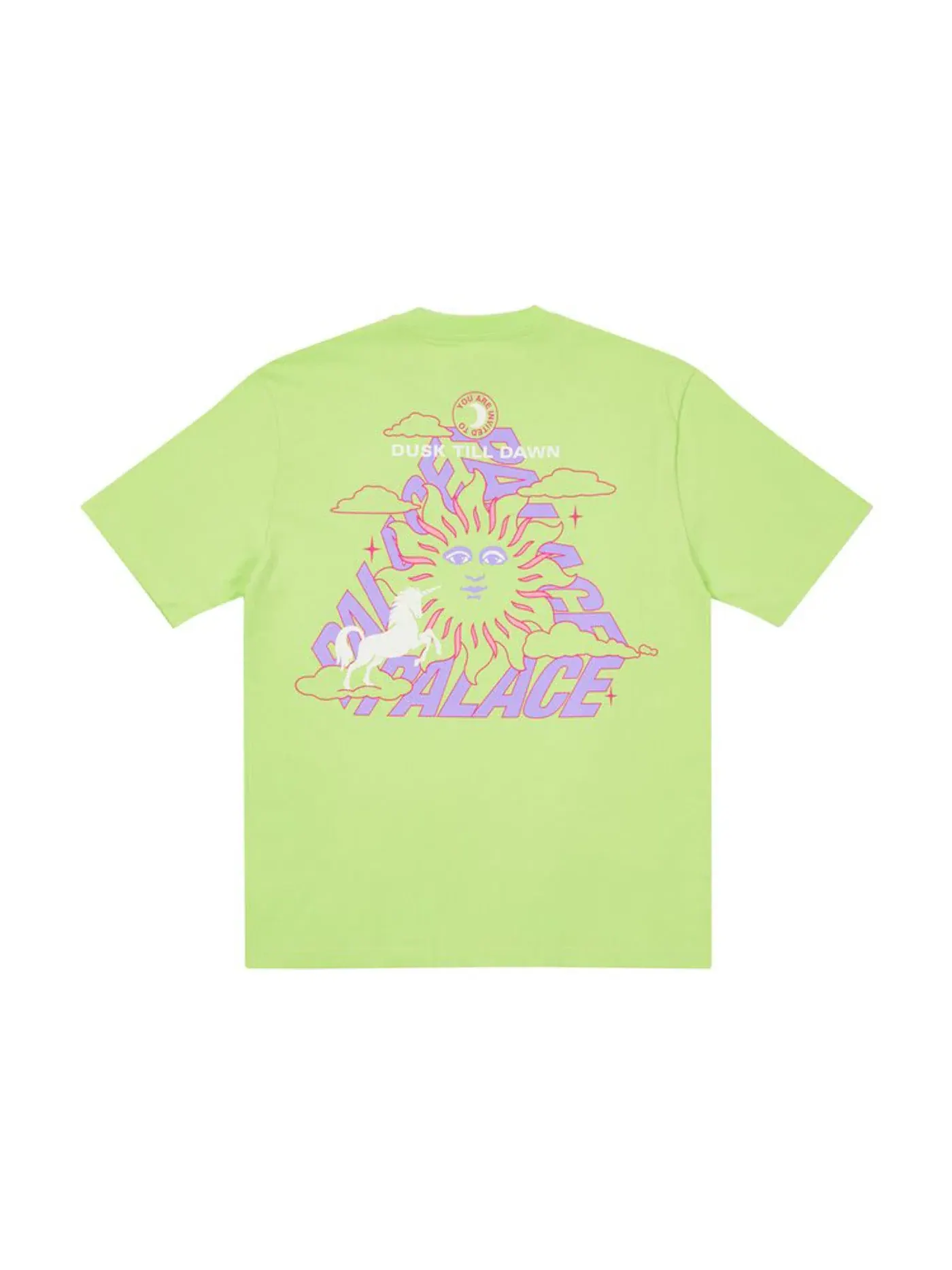 Мужская футболка с принтом Palace T-shirt — изображение 1 из 2, зеленый