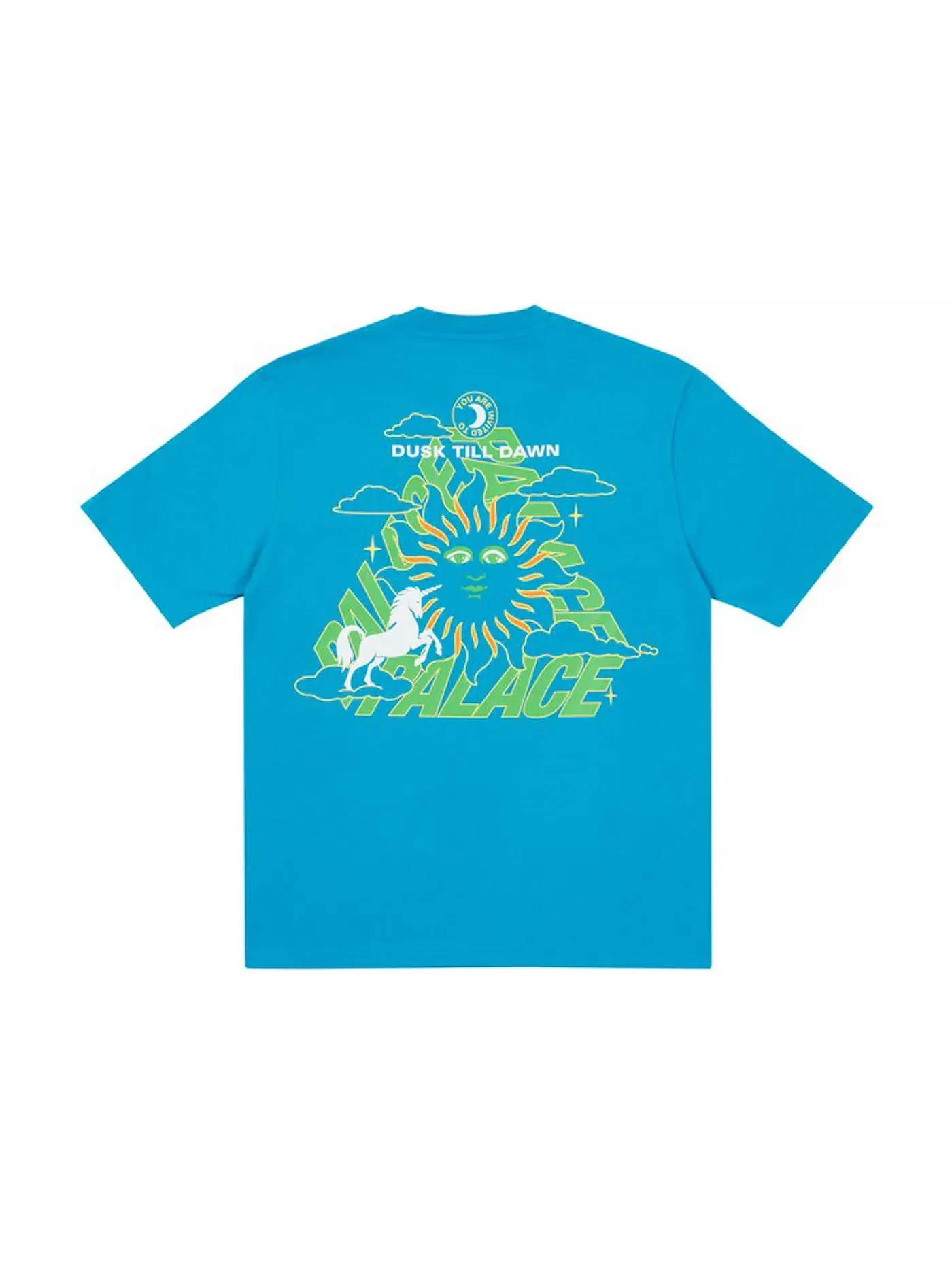Мужская футболка с принтом Palace T-shirt — изображение 1 из 2, синий