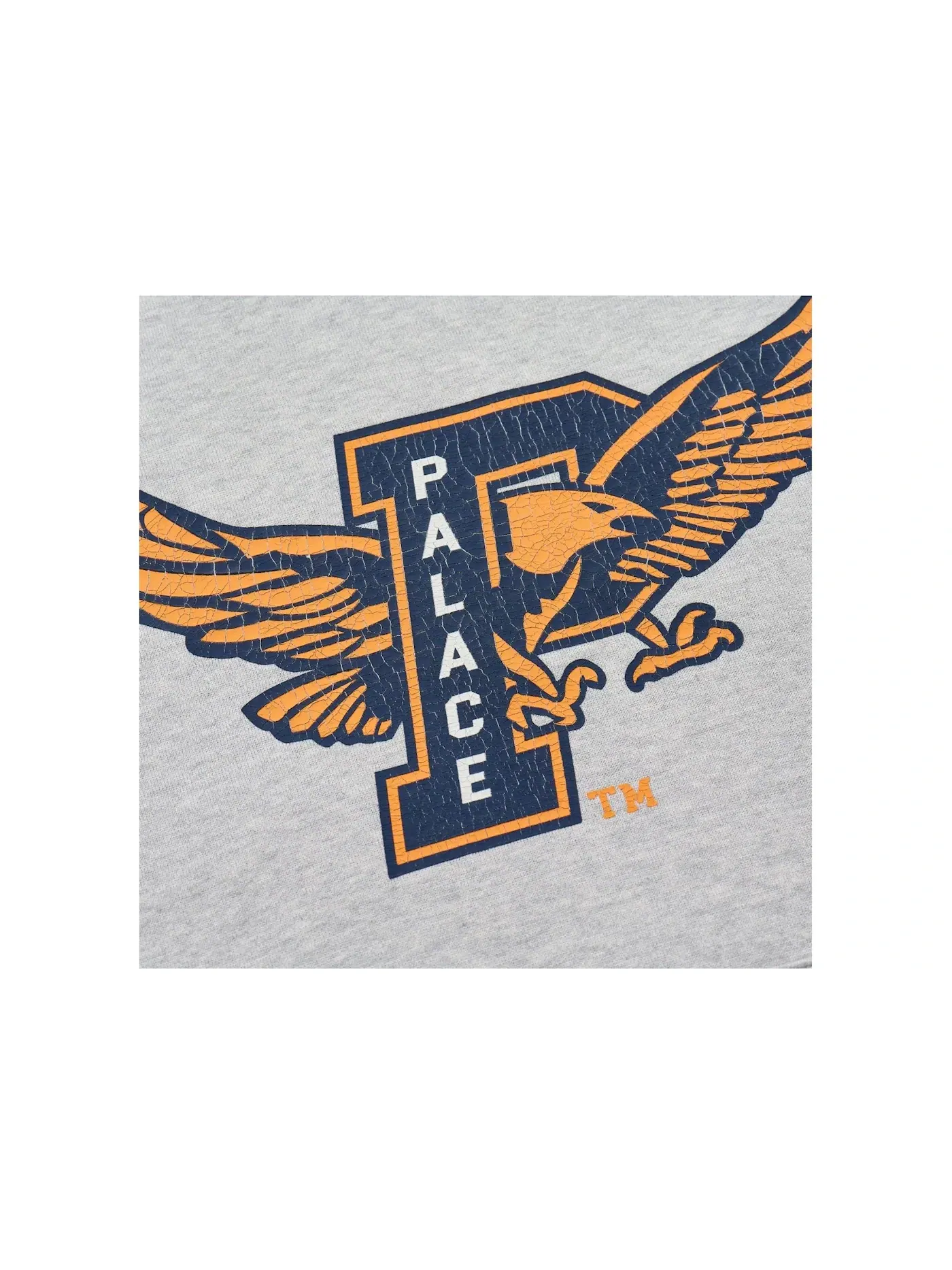 Мужская худи с капюшоном Palace Hood — изображение 2 из 2, серый