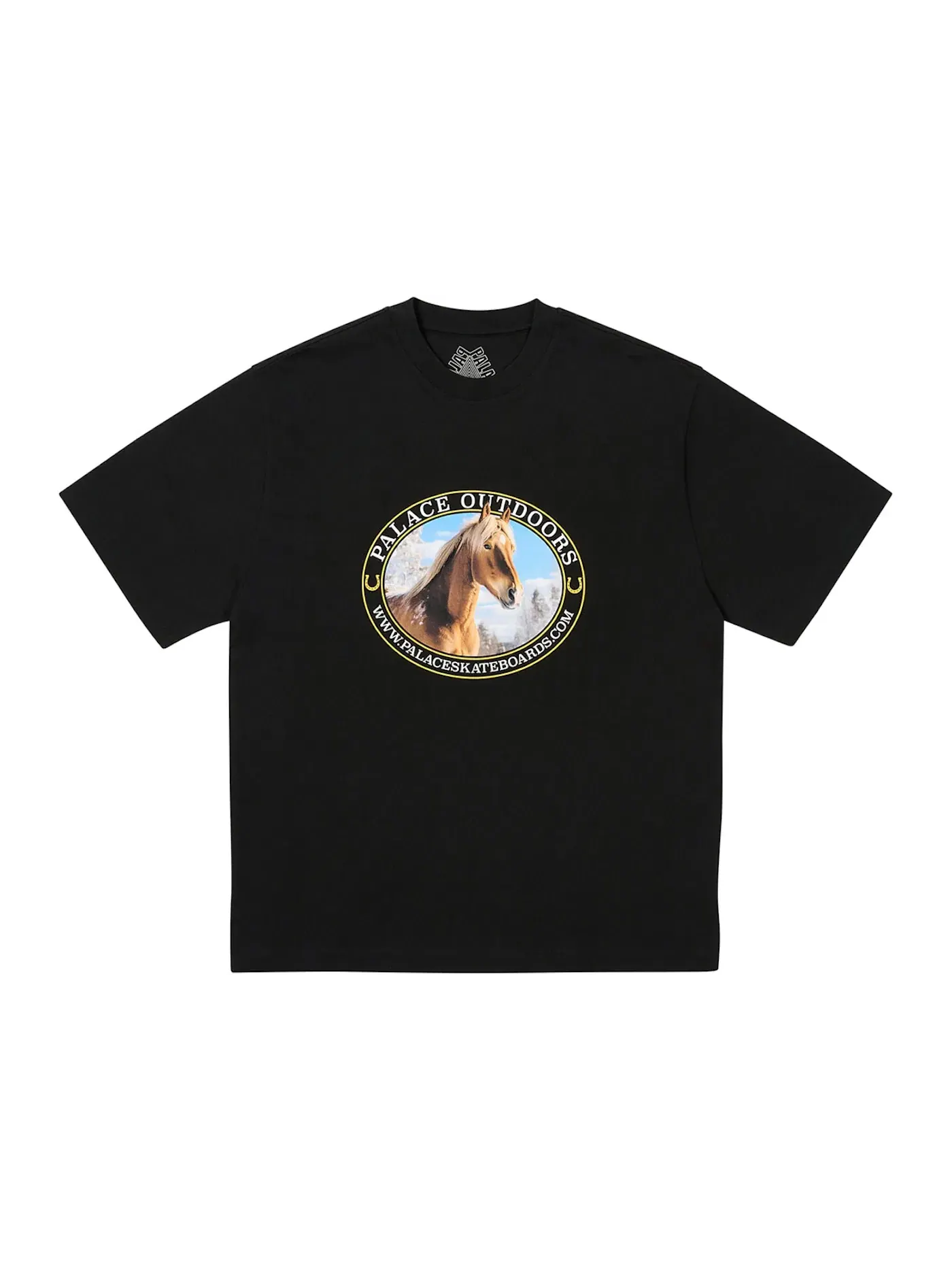 Мужская футболка с принтом Palace Equestrian T-Shirt — изображение 1 из 1, черный