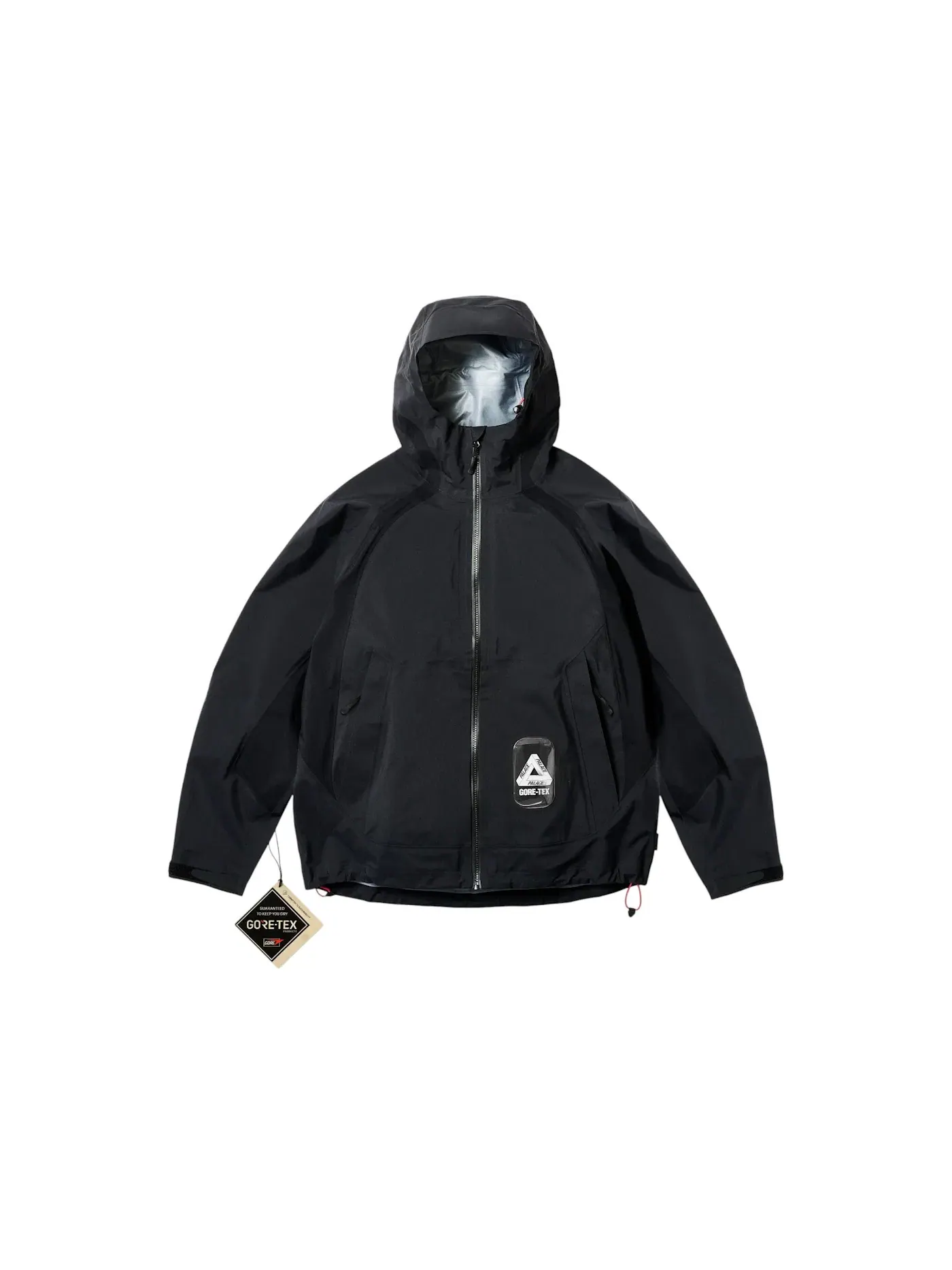 Мужская куртка GORE-TEX с длинным рукавом Palace — изображение 1 из 3, черный
